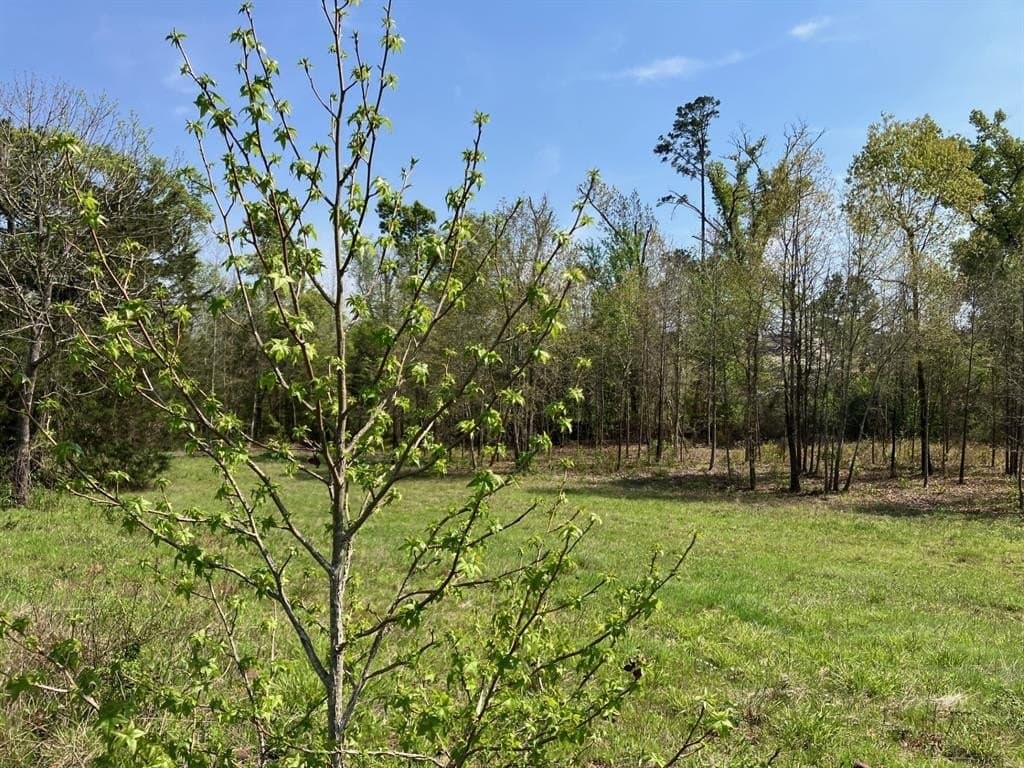 3.89 acres in Smith County featured view