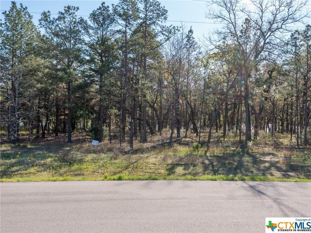 1.03 acres in Henderson County - photo 11