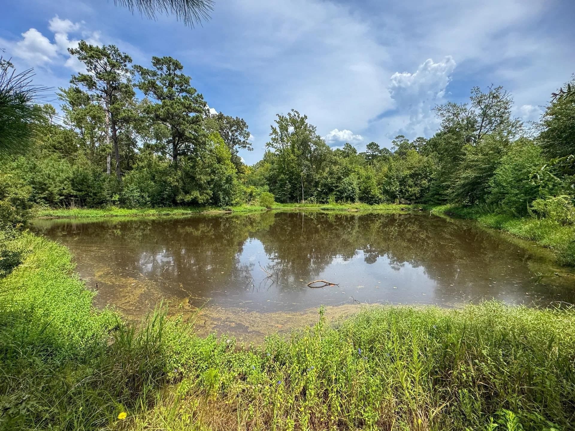 35.77 acres in Marion County - photo 39