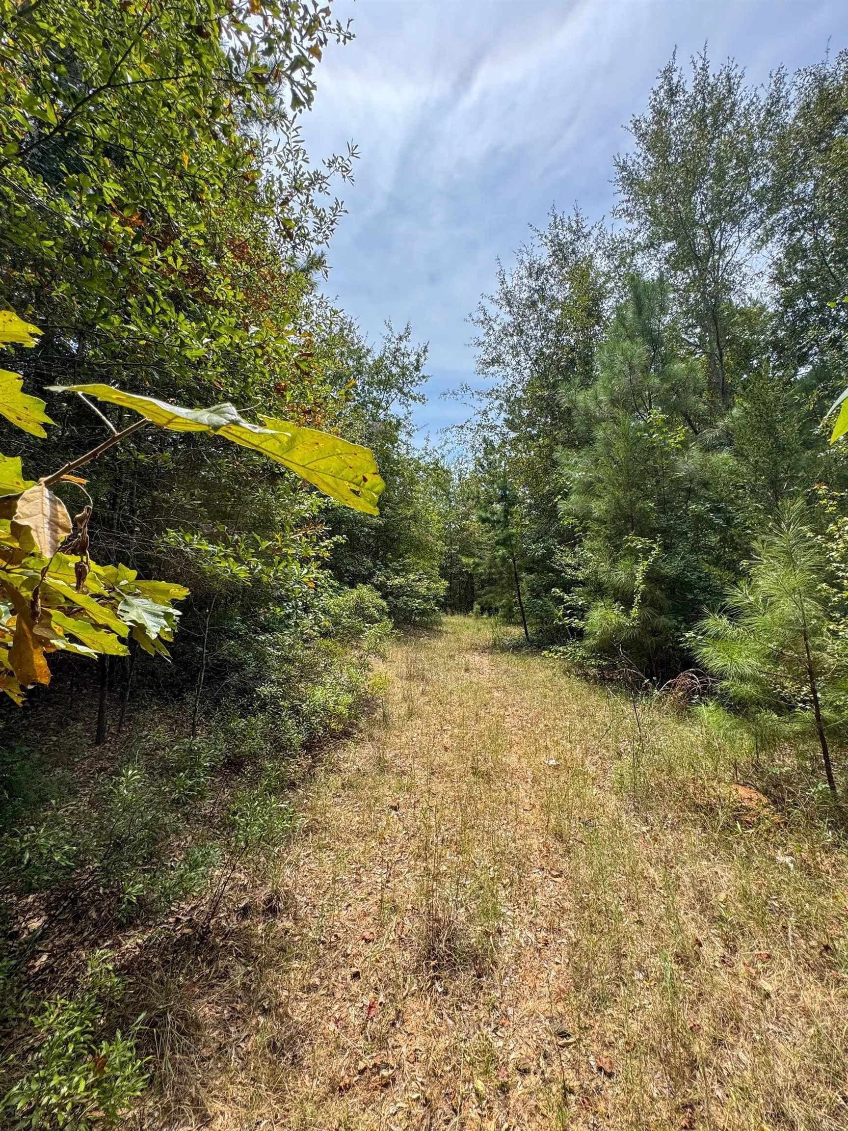 35.77 acres in Marion County - photo 46