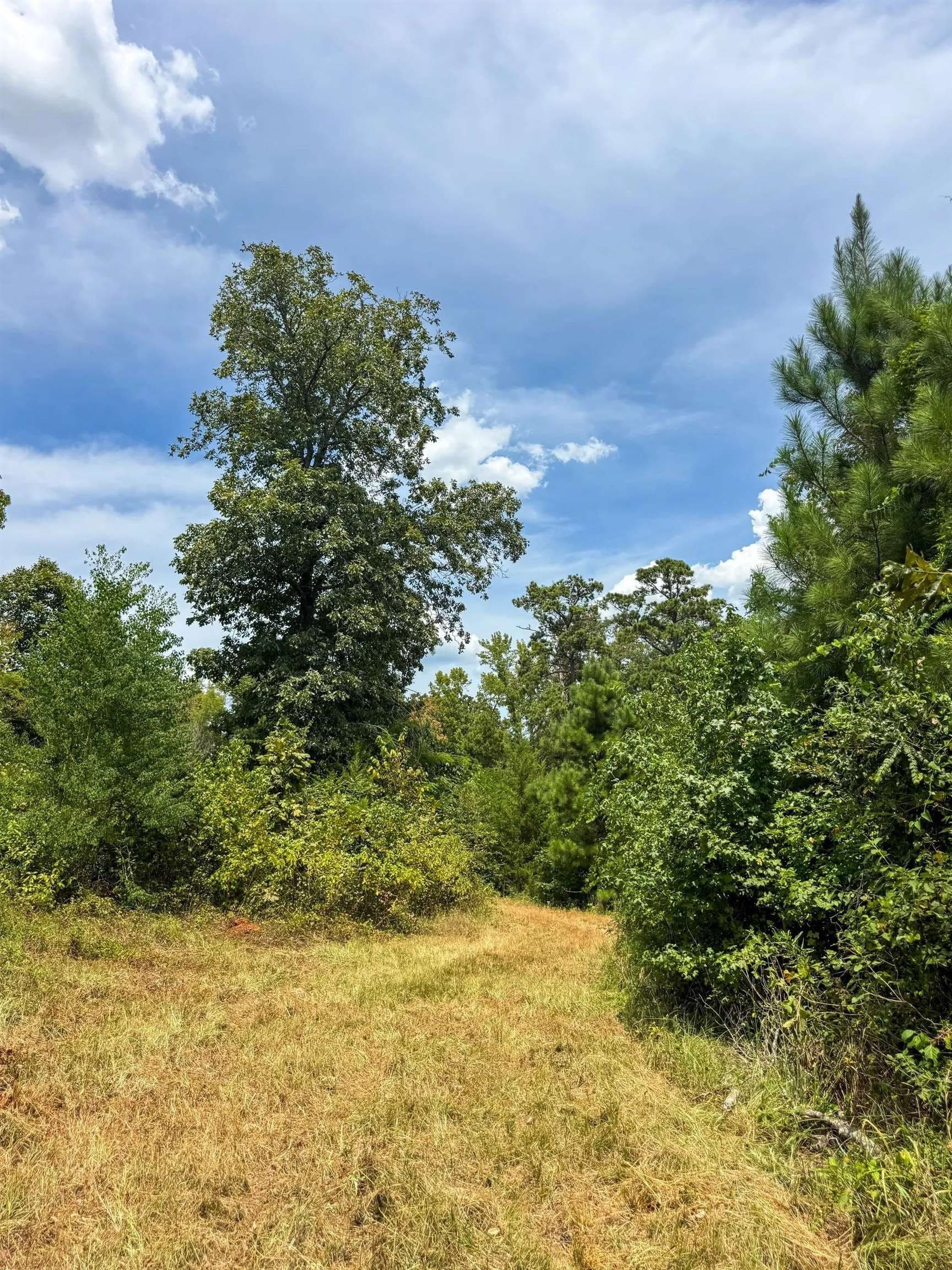 35.77 acres in Marion County - photo 48