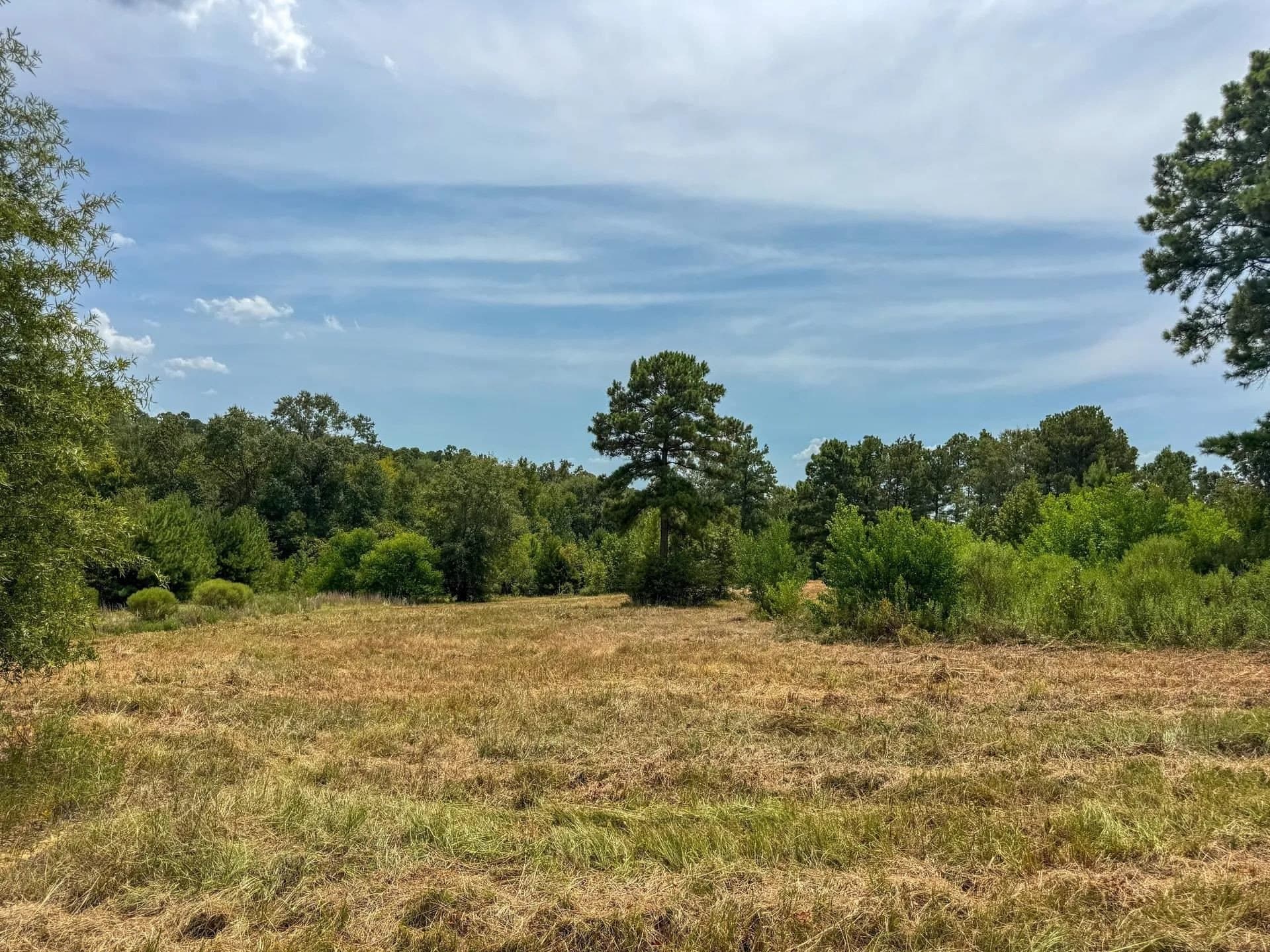 35.77 acres in Marion County - photo 49