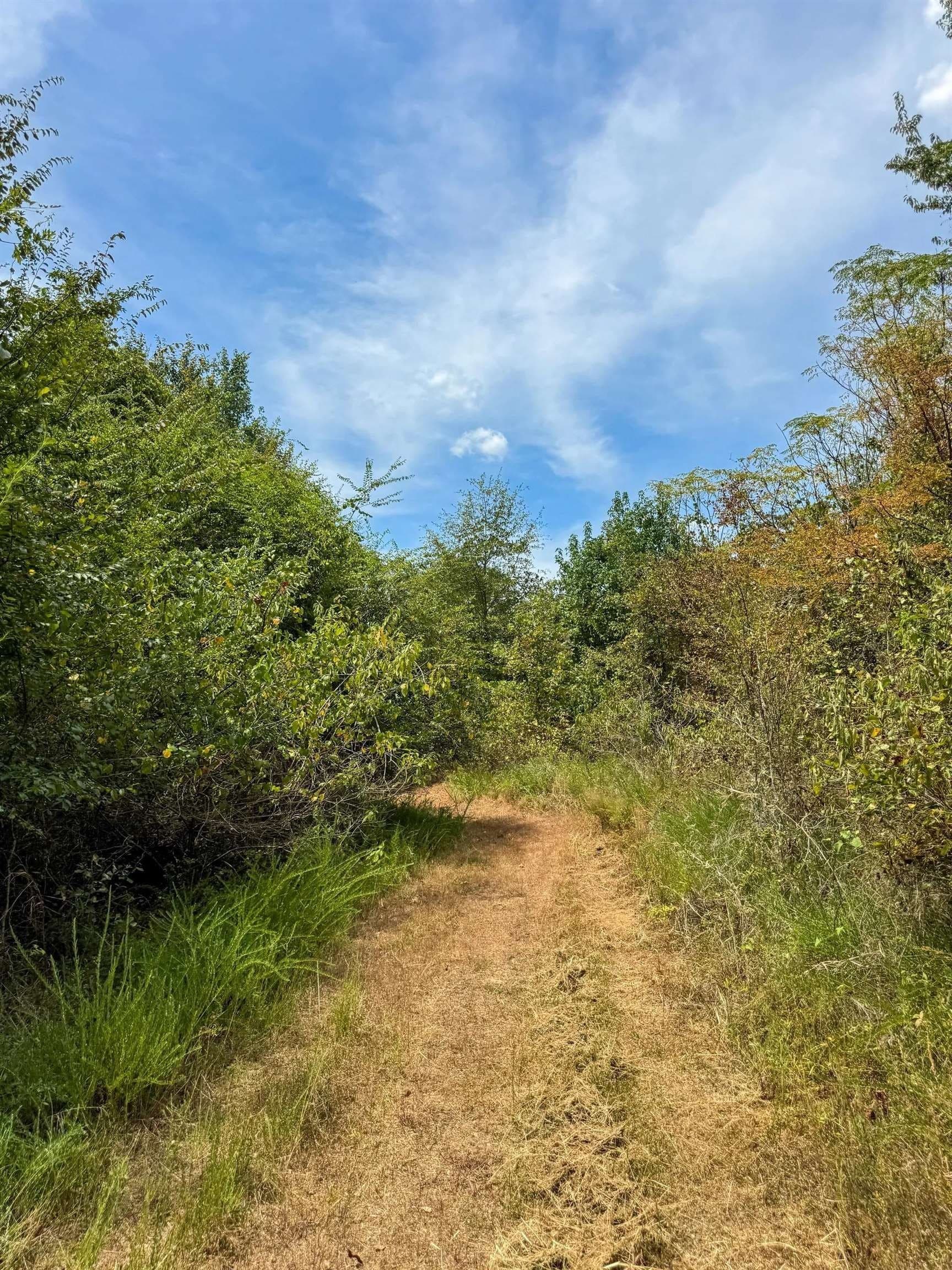 35.77 acres in Marion County - photo 47