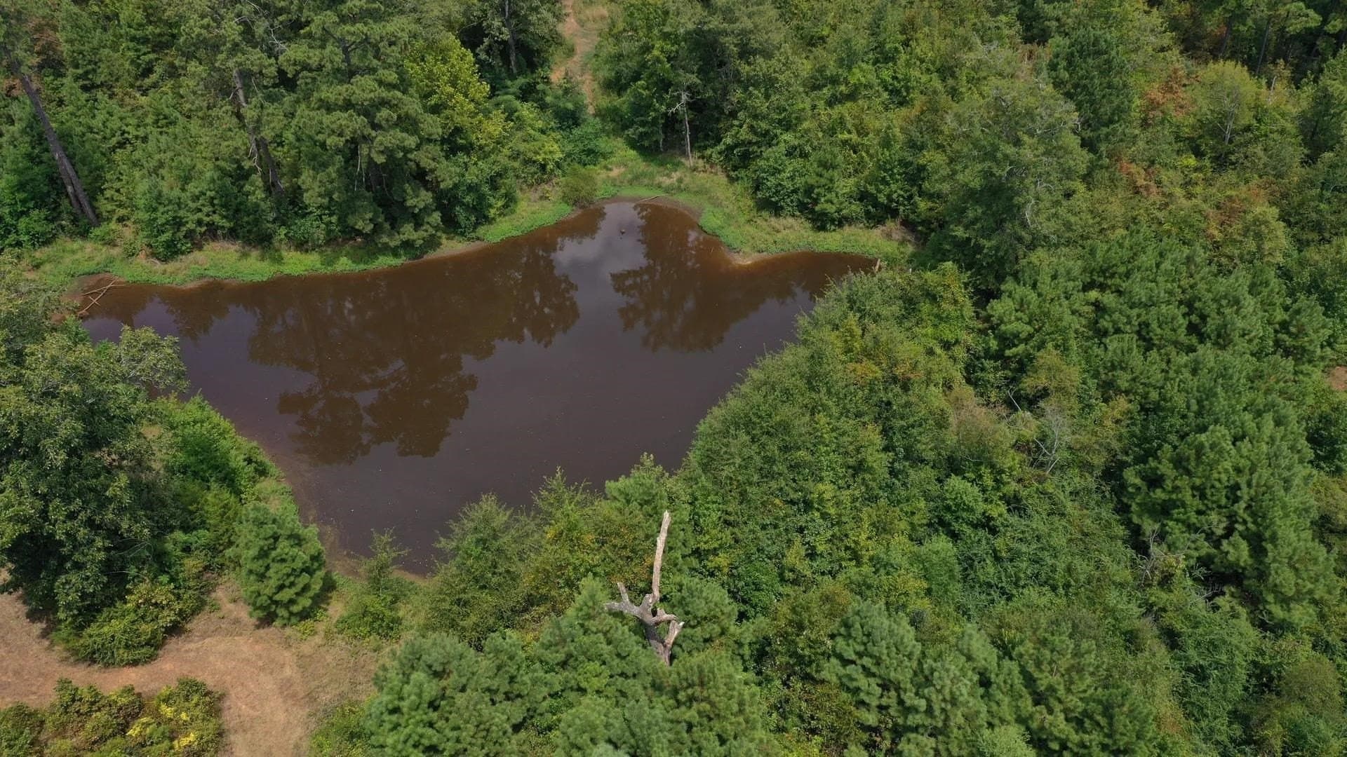 35.77 acres in Marion County - photo 38