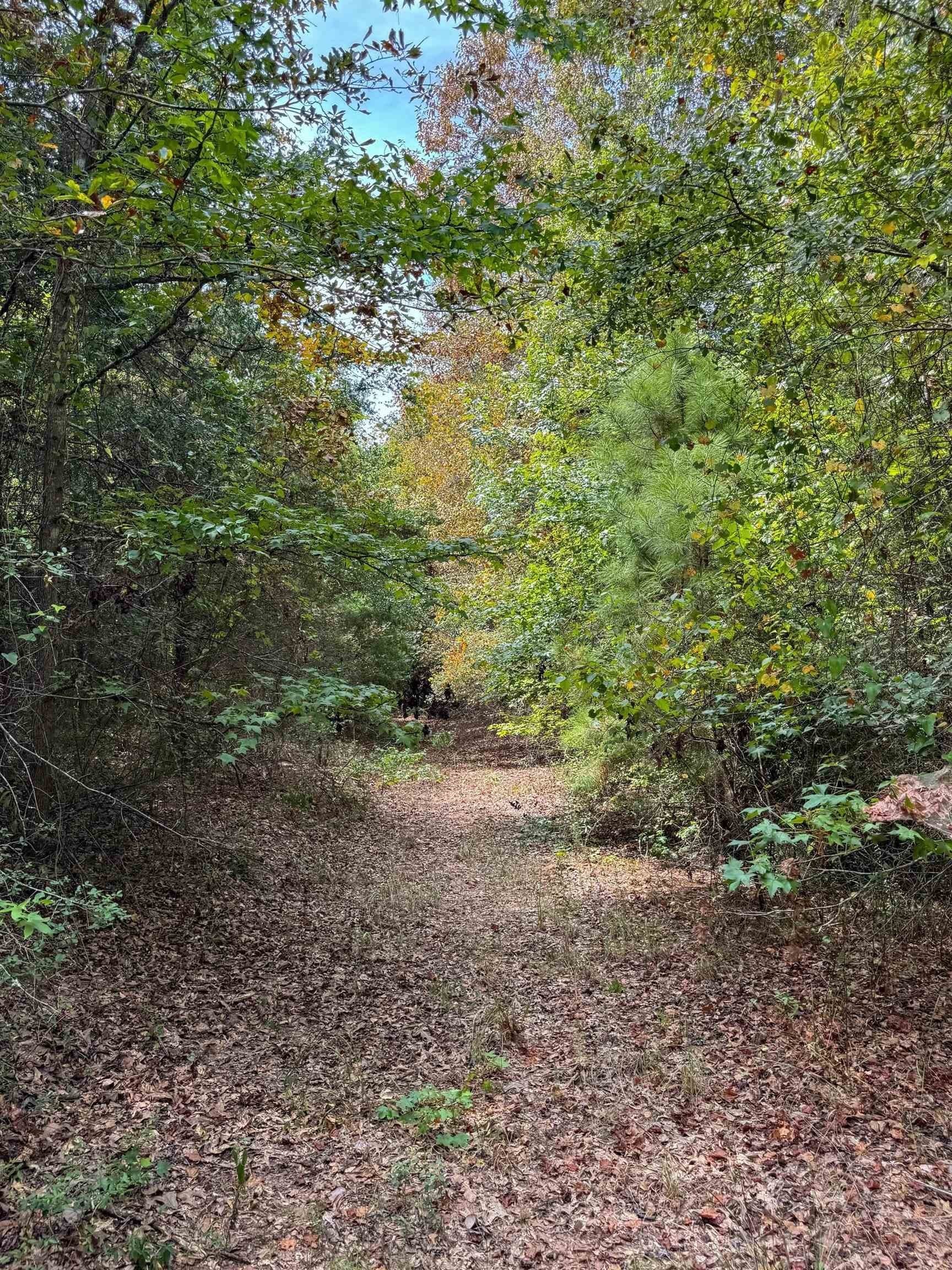 35.77 acres in Marion County - photo 41
