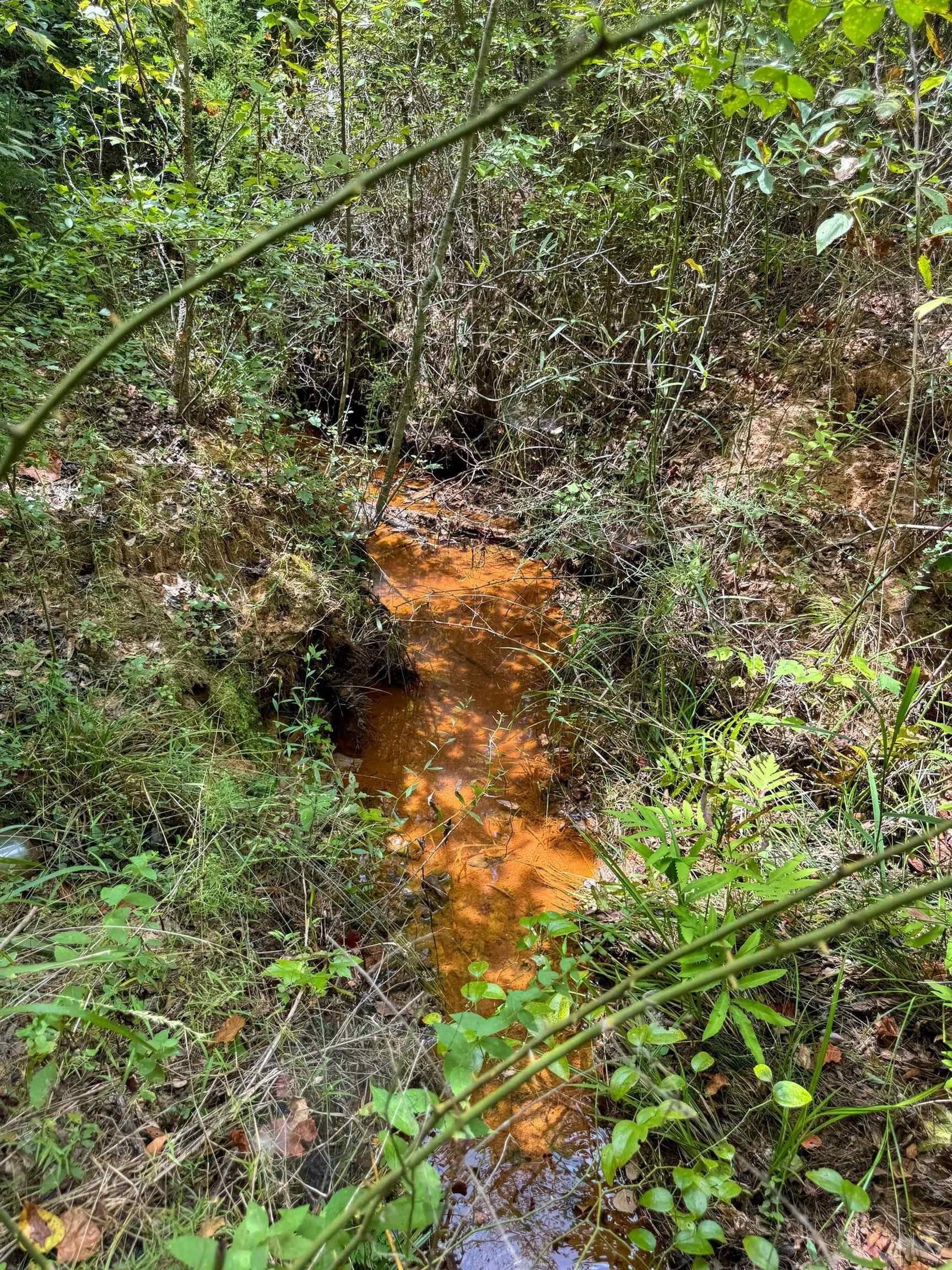 35.77 acres in Marion County - photo 40