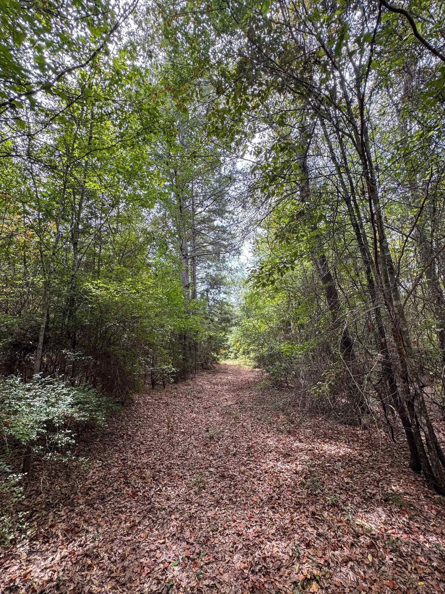 35.77 acres in Marion County - photo 44
