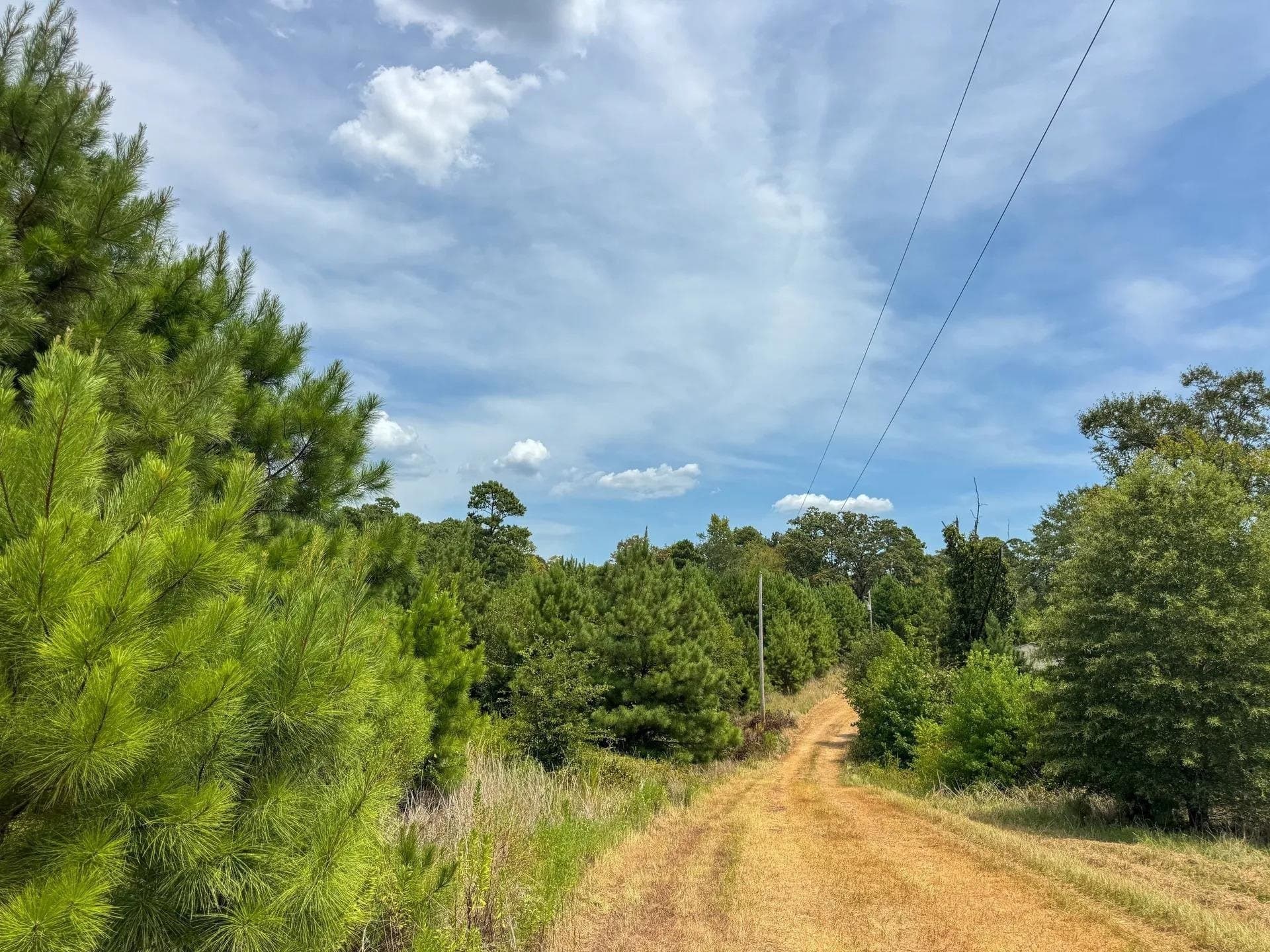 35.77 acres in Marion County - photo 50