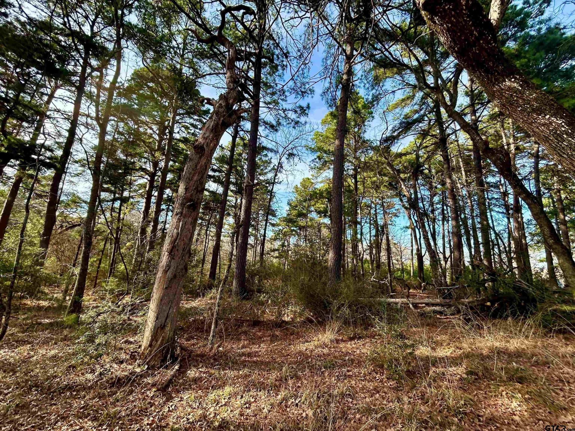 10.7 acres in Anderson County - photo 19