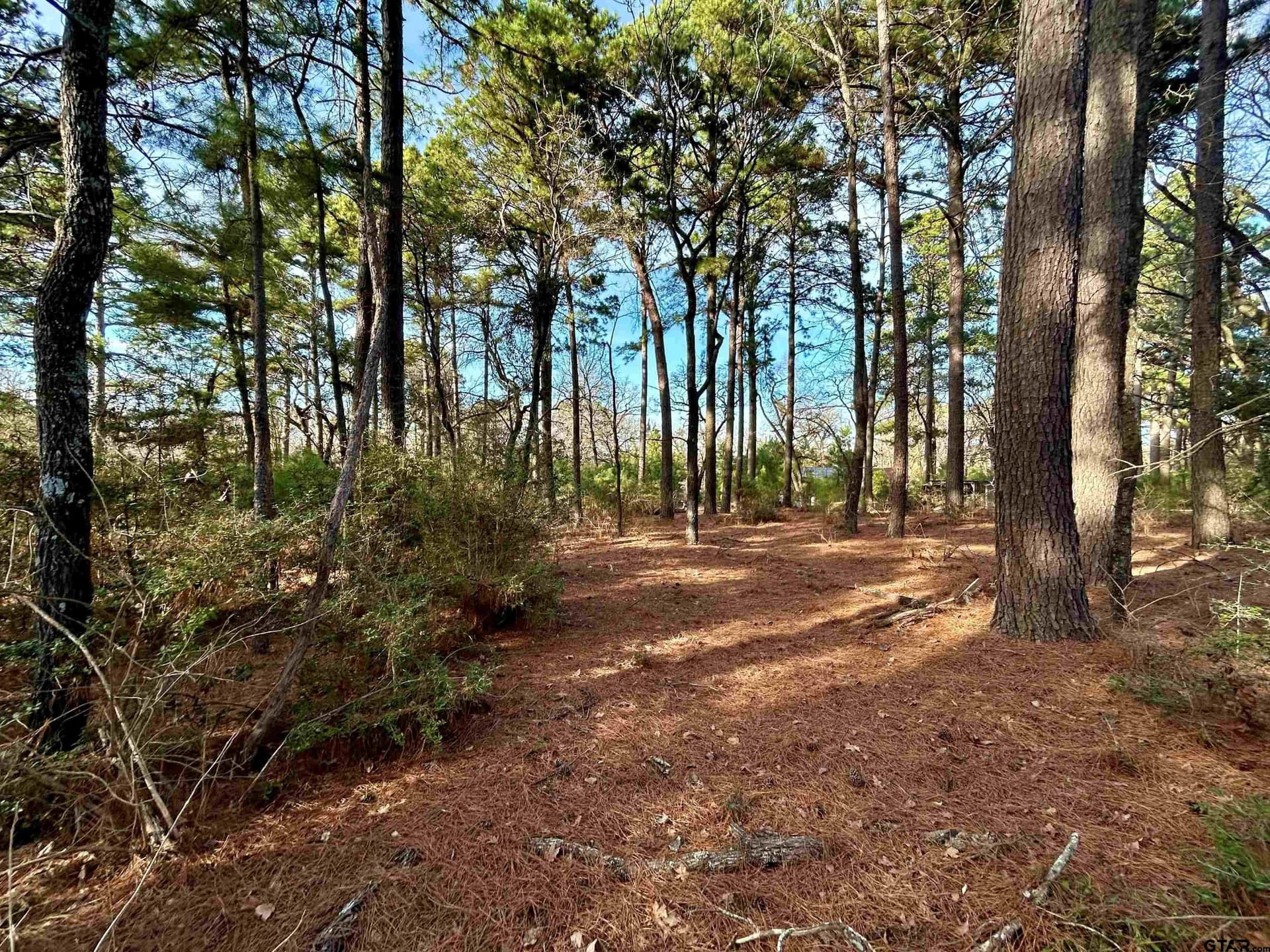 10.7 acres in Anderson County - photo 20