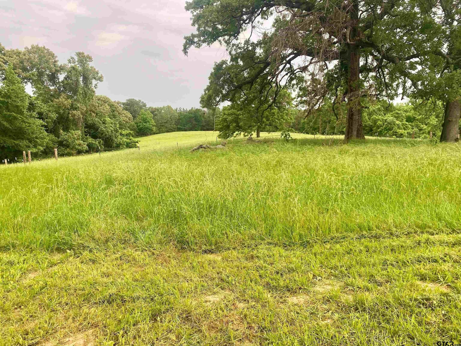 10.7 acres in Anderson County - photo 7