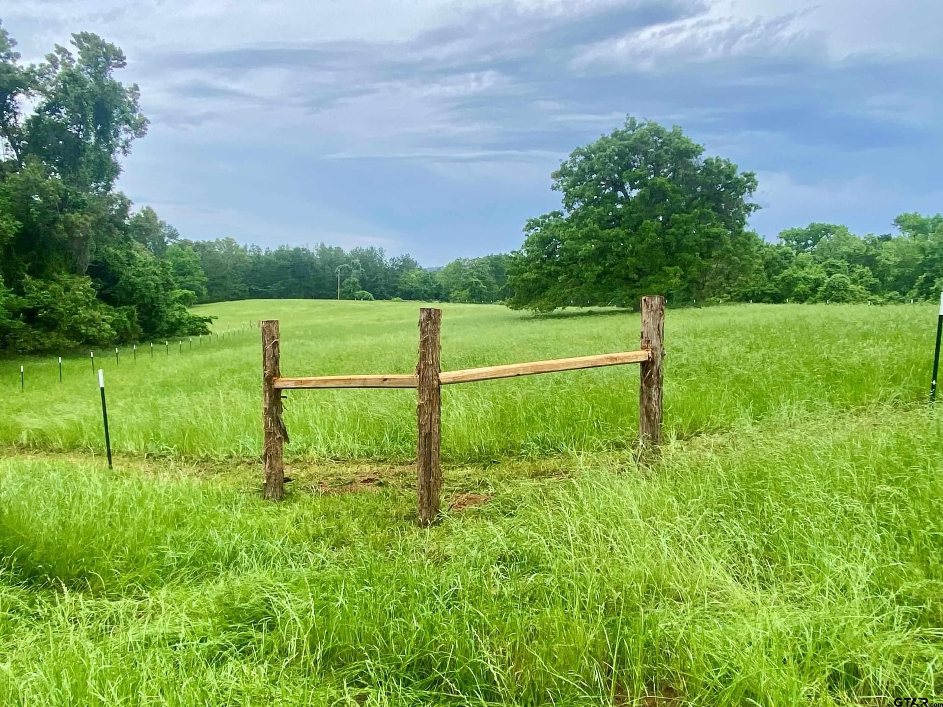 10.7 acres in Anderson County gallery image 2