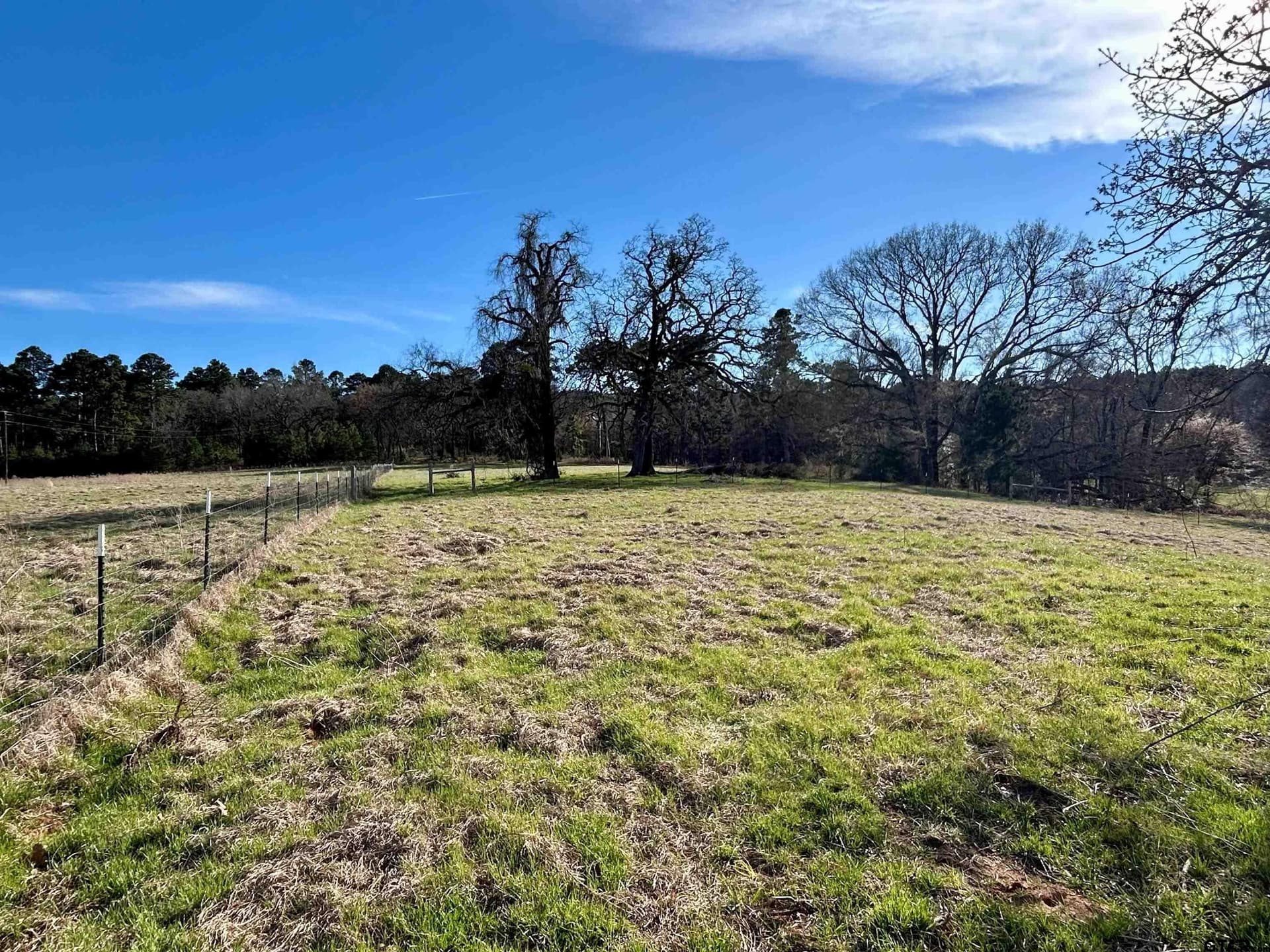 10.7 acres in Anderson County - photo 12