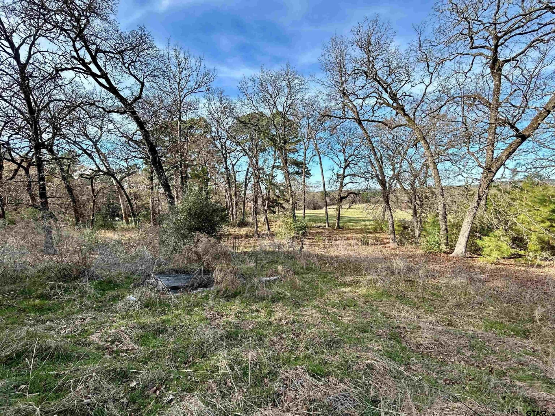 10.7 acres in Anderson County - photo 16
