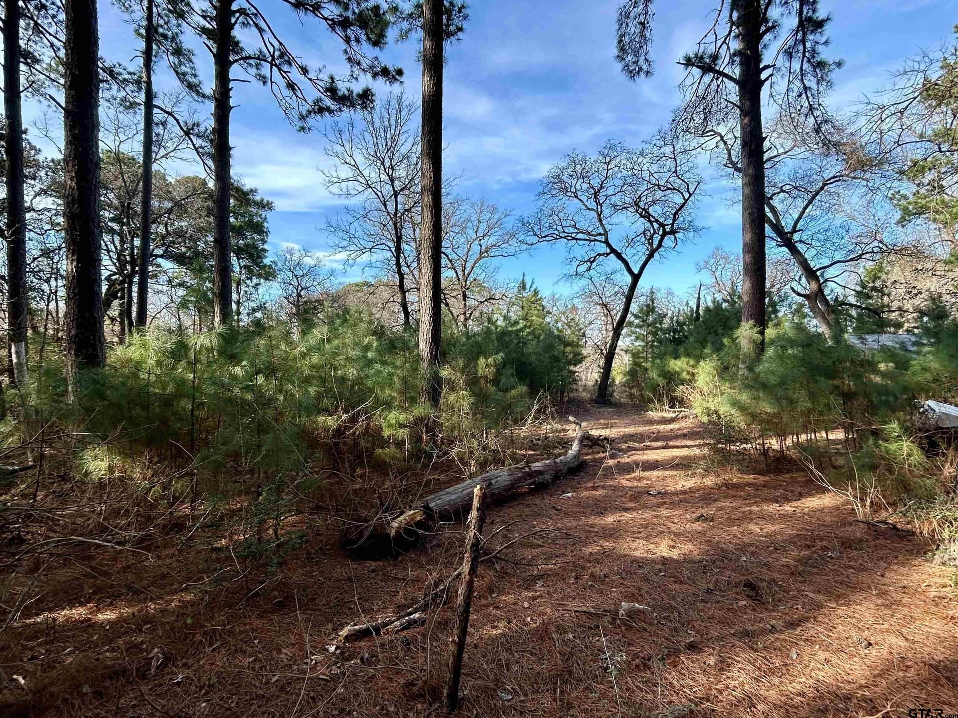 10.7 acres in Anderson County - photo 18
