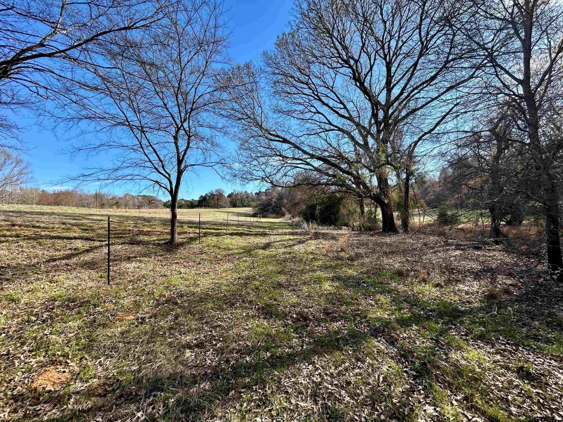 10.7 acres in Anderson County gallery image 4
