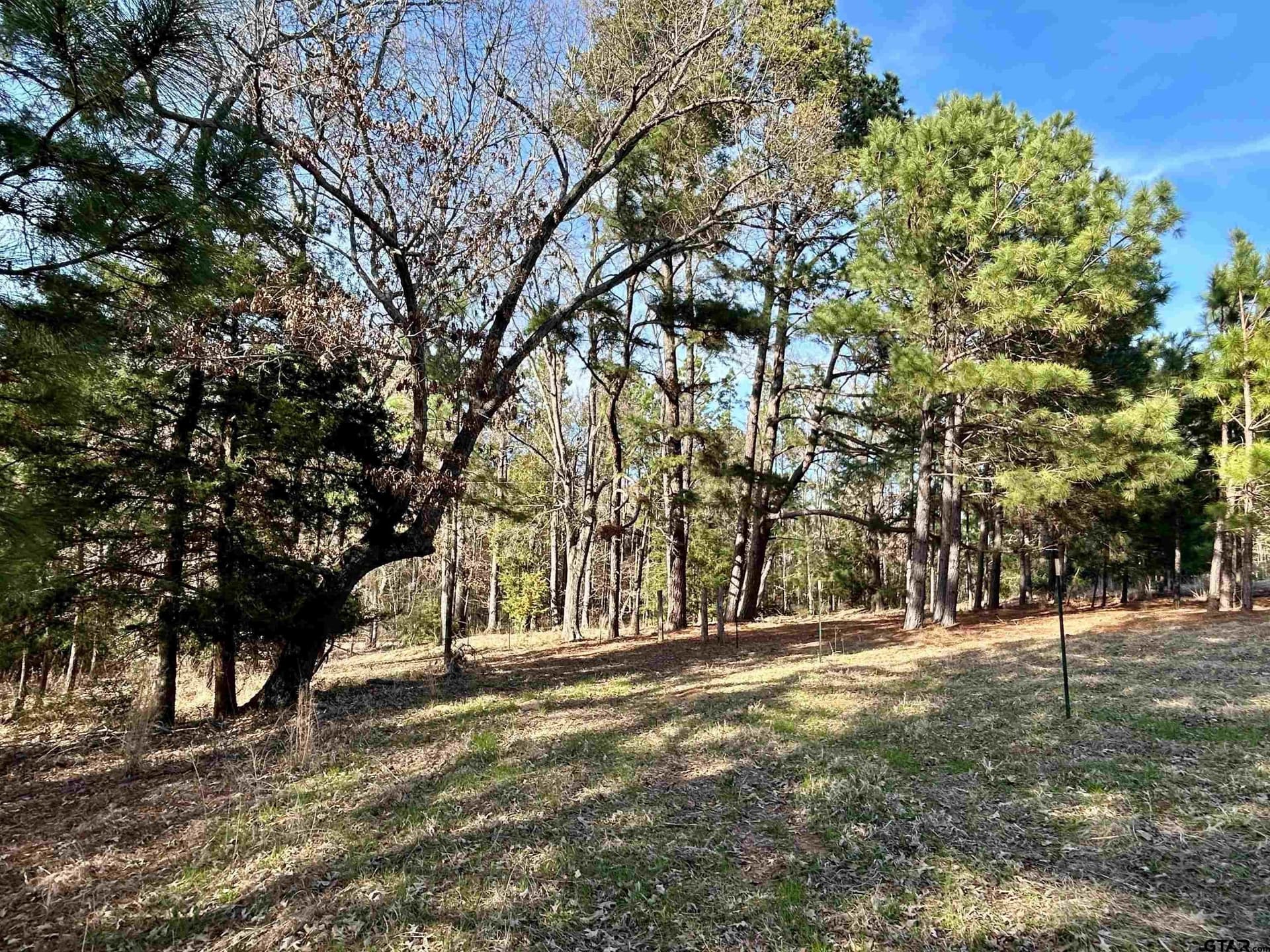 10.7 acres in Anderson County - photo 10