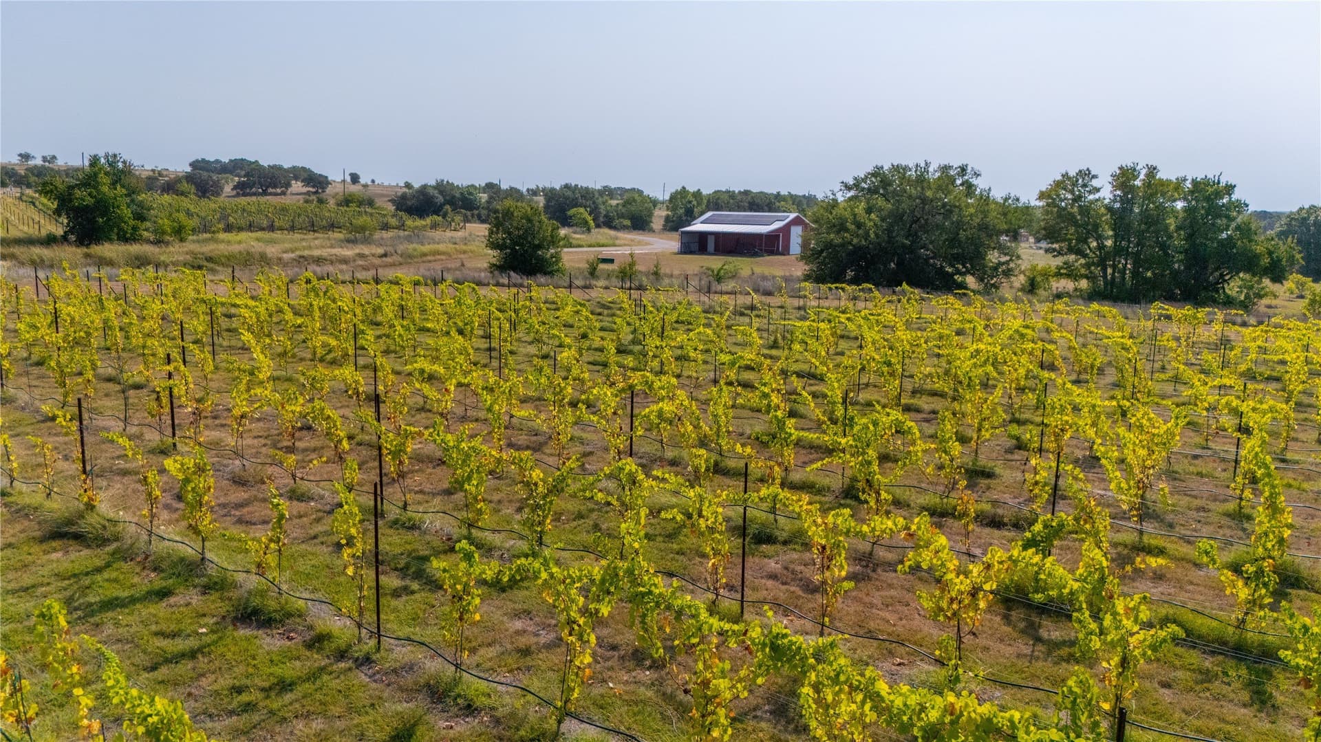 23.44 acres in Erath County - photo 32