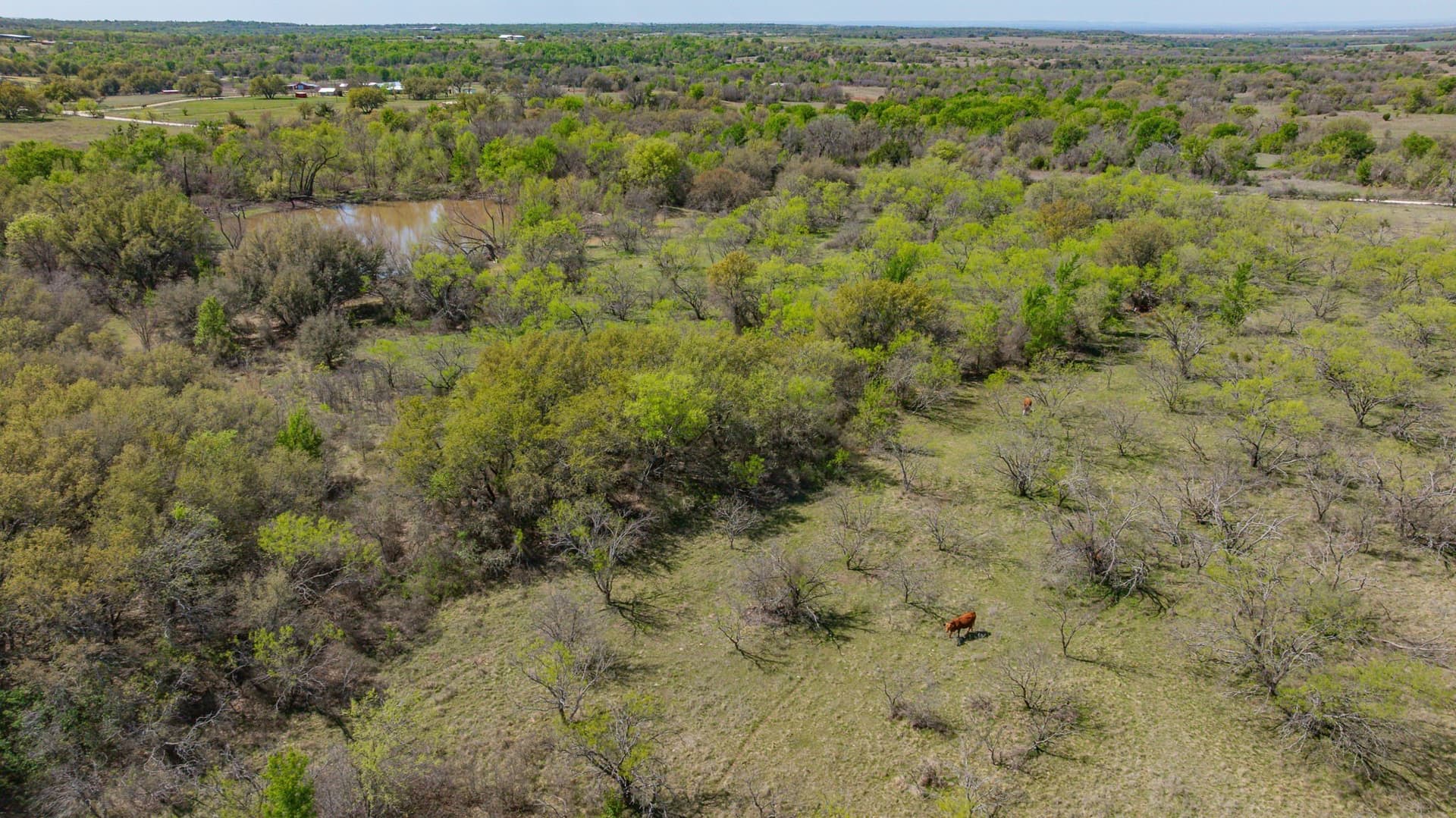 109.59 acres in Erath County - photo 32