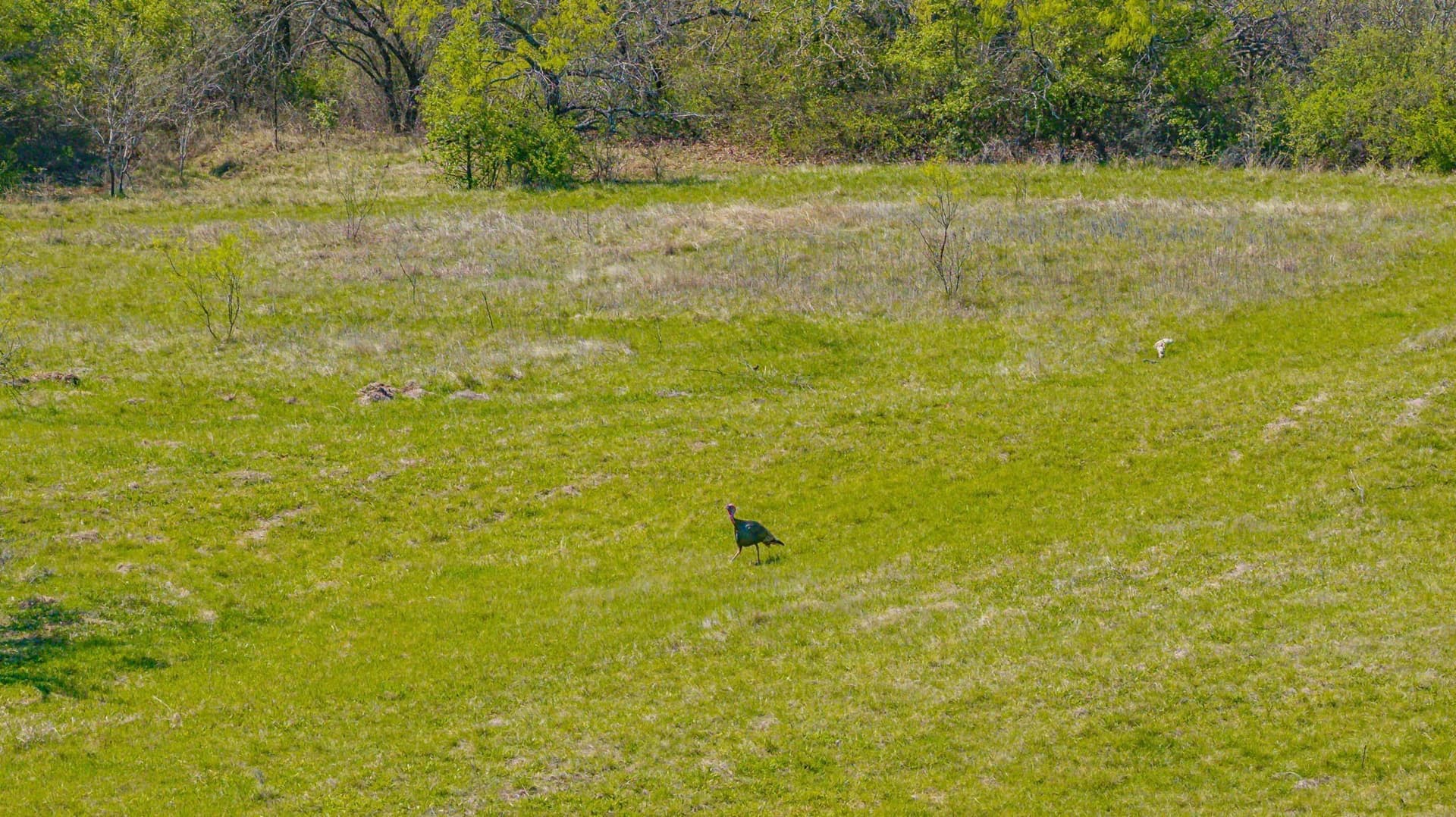 109.59 acres in Erath County - photo 29