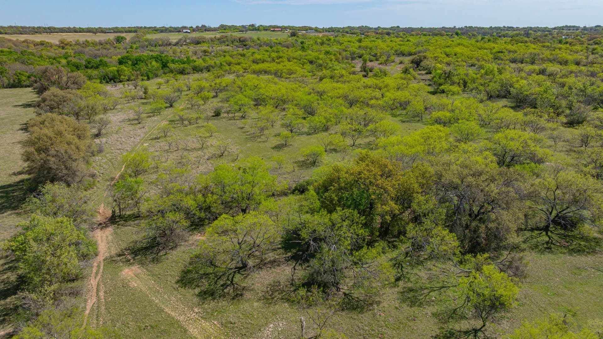 109.59 acres in Erath County - photo 16
