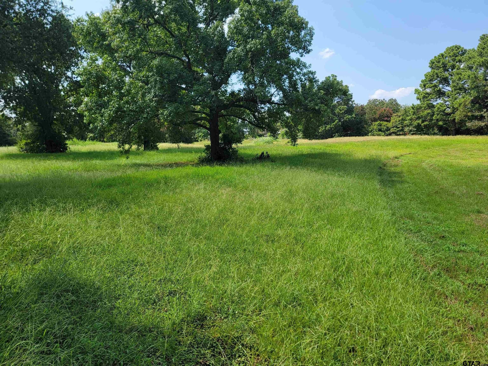2.79 acres in Henderson County - photo 4