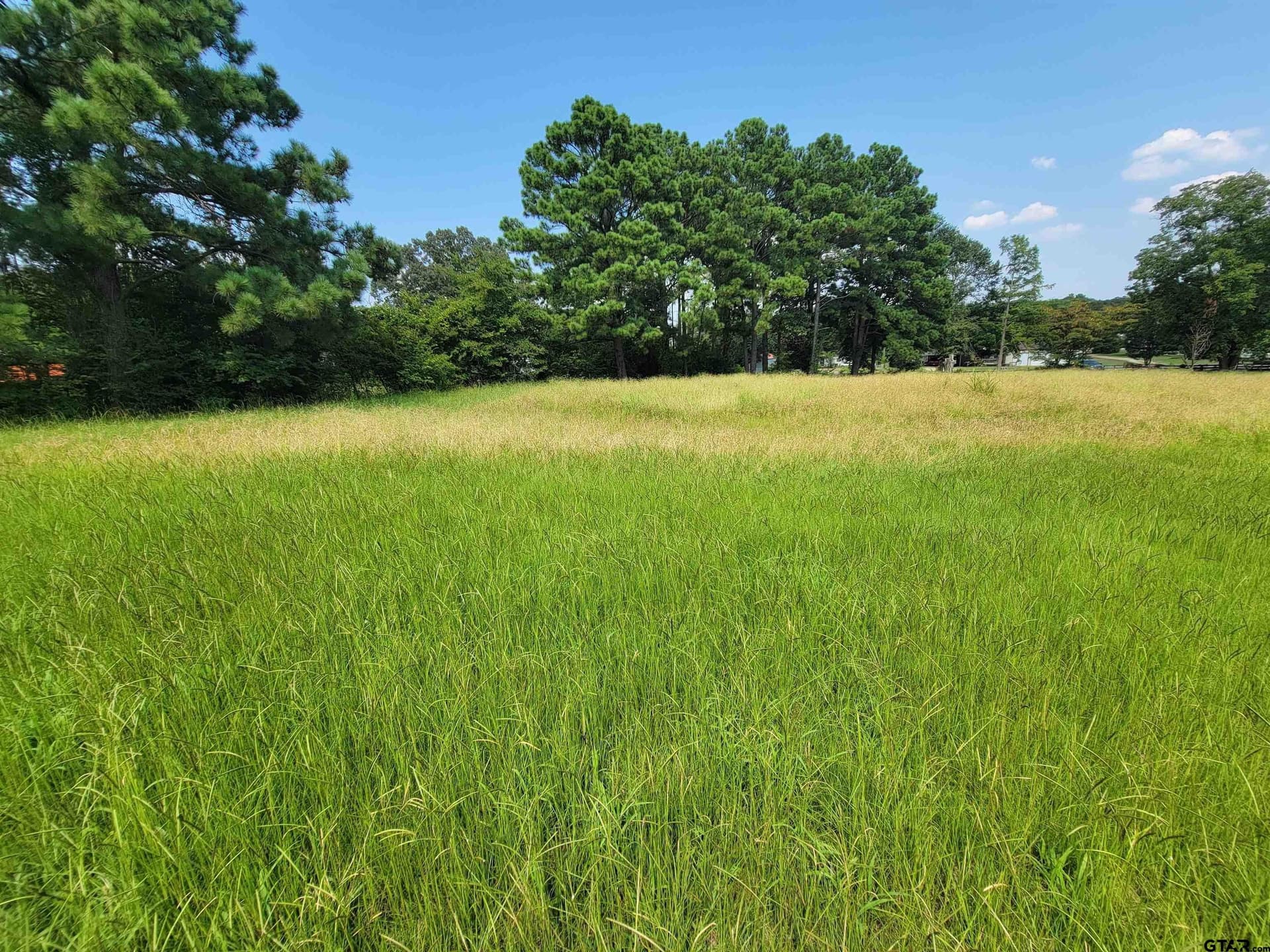 2.79 acres in Henderson County - photo 7