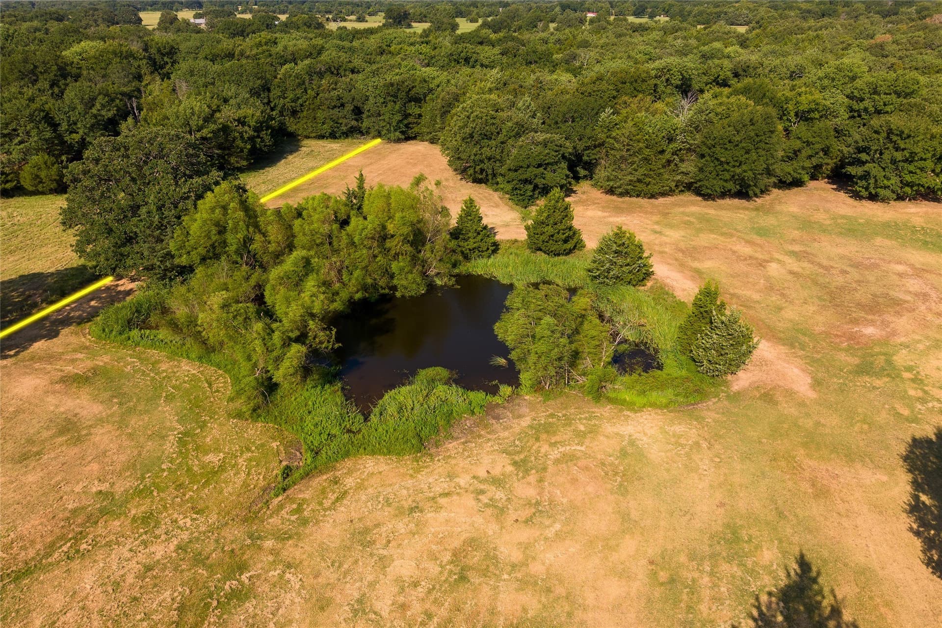 15.46 acres in Fannin County - photo 40