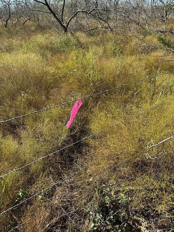 4.67 acres in Milam County featured view