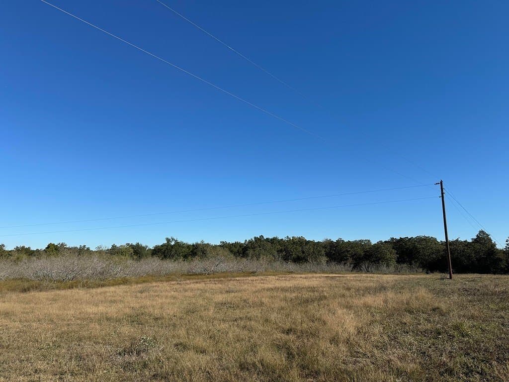 4.67 acres in Milam County gallery image 3