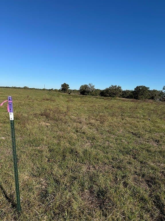 4.67 acres in Milam County gallery image 4