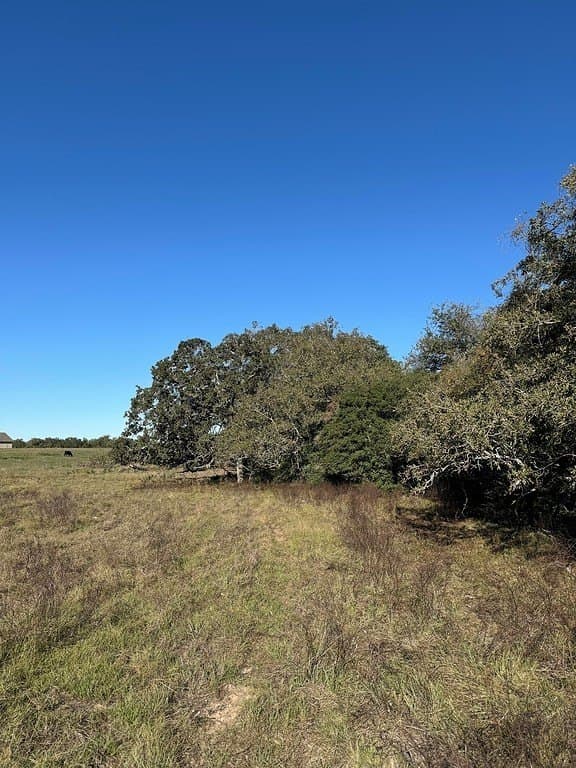 4.67 acres in Milam County gallery image 2