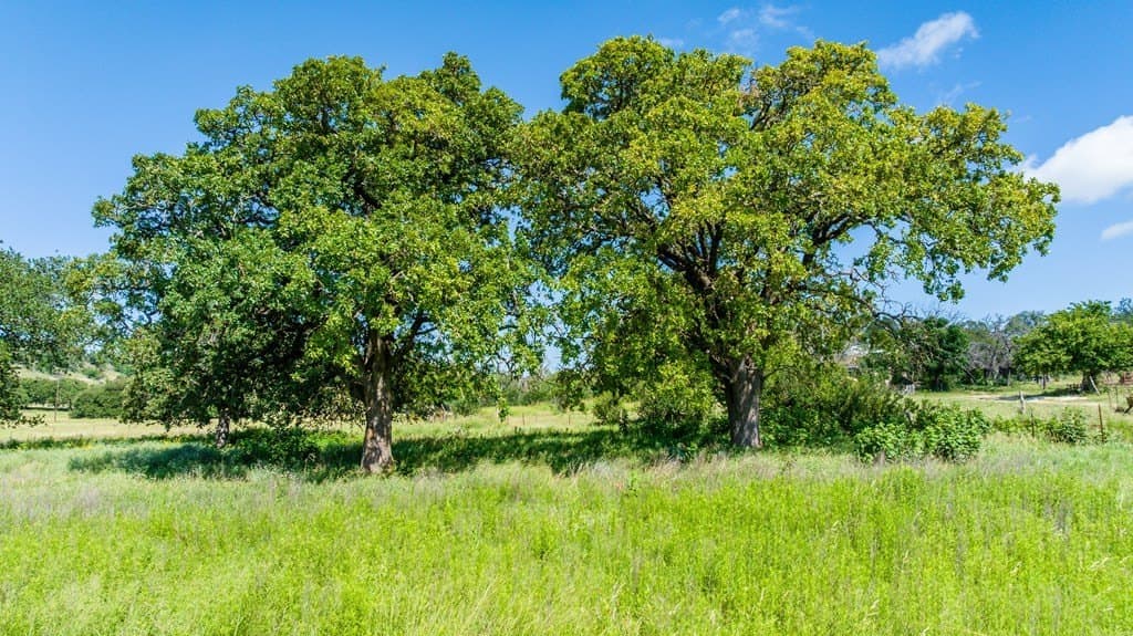 10.17 acres in Gillespie County featured view