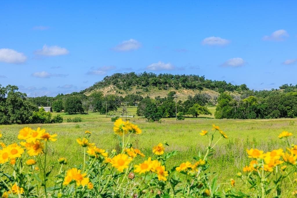 10.17 acres in Gillespie County gallery image 3