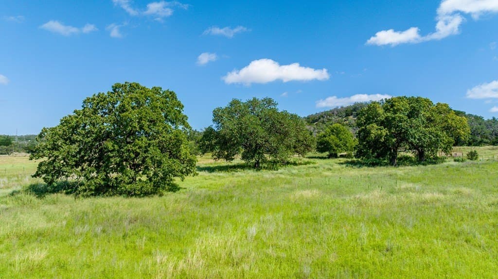 10.17 acres in Gillespie County gallery image 4