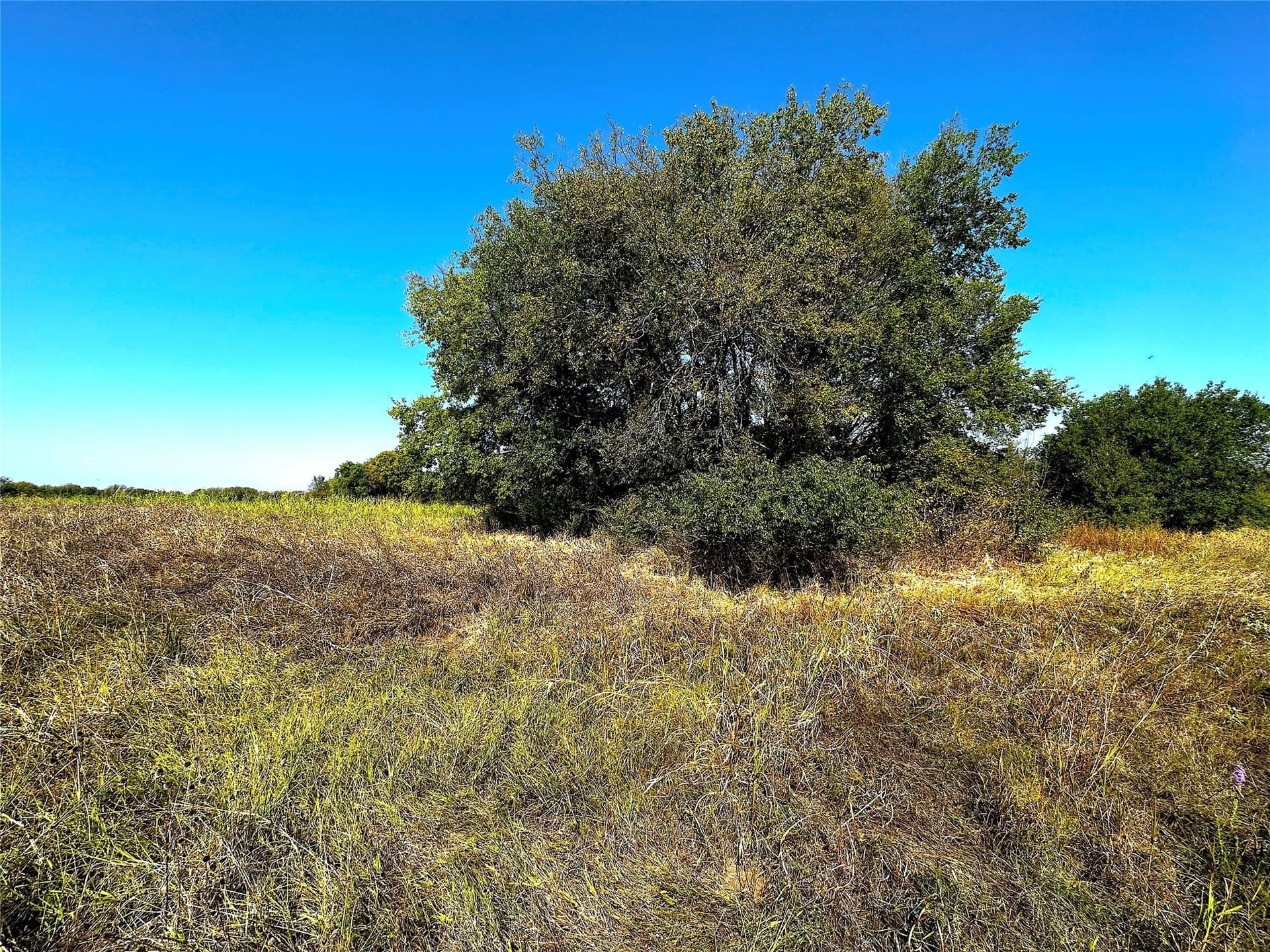 0.23 acres in Rains County - photo 3