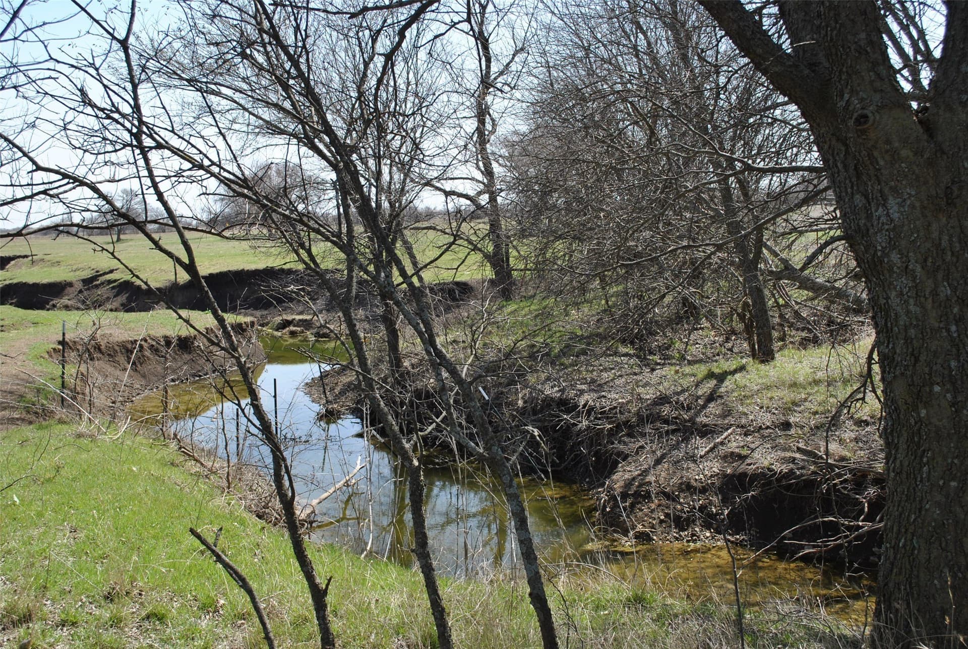 29.29 acres in Cooke County featured view