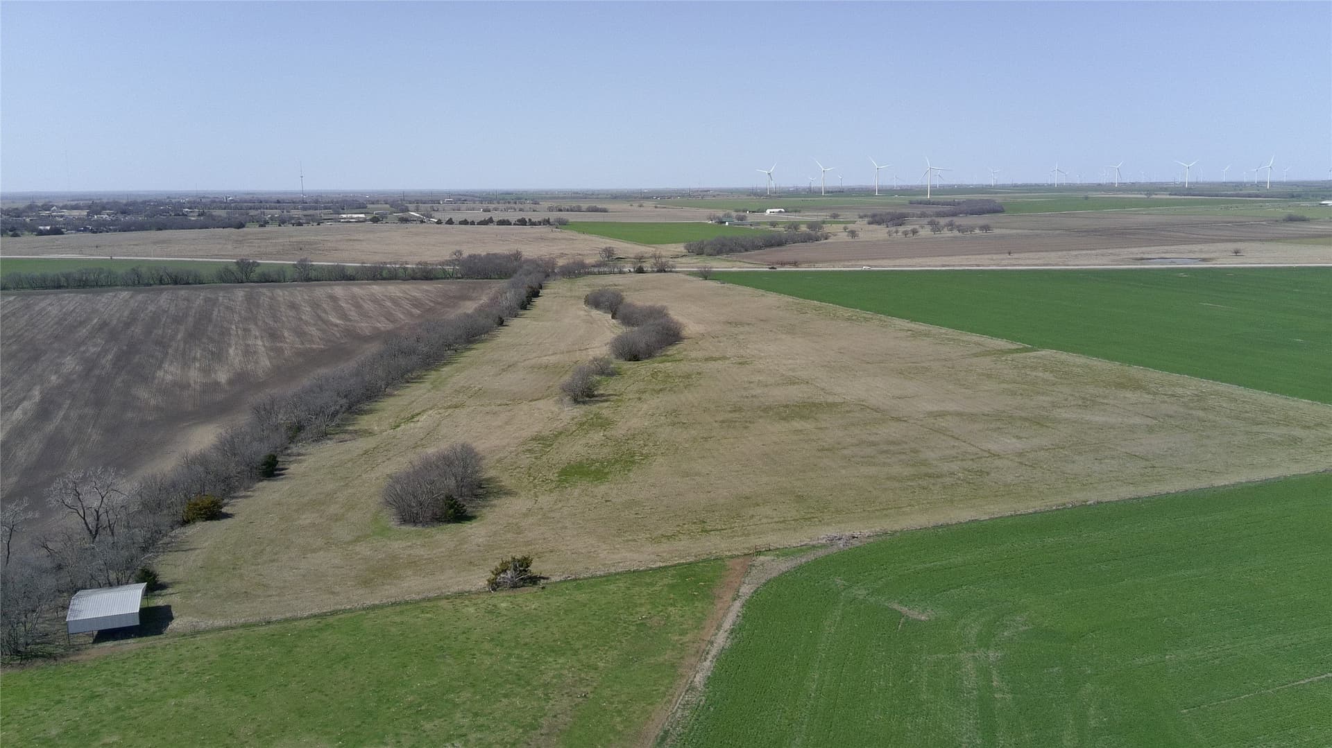 29.29 acres in Cooke County gallery image 4