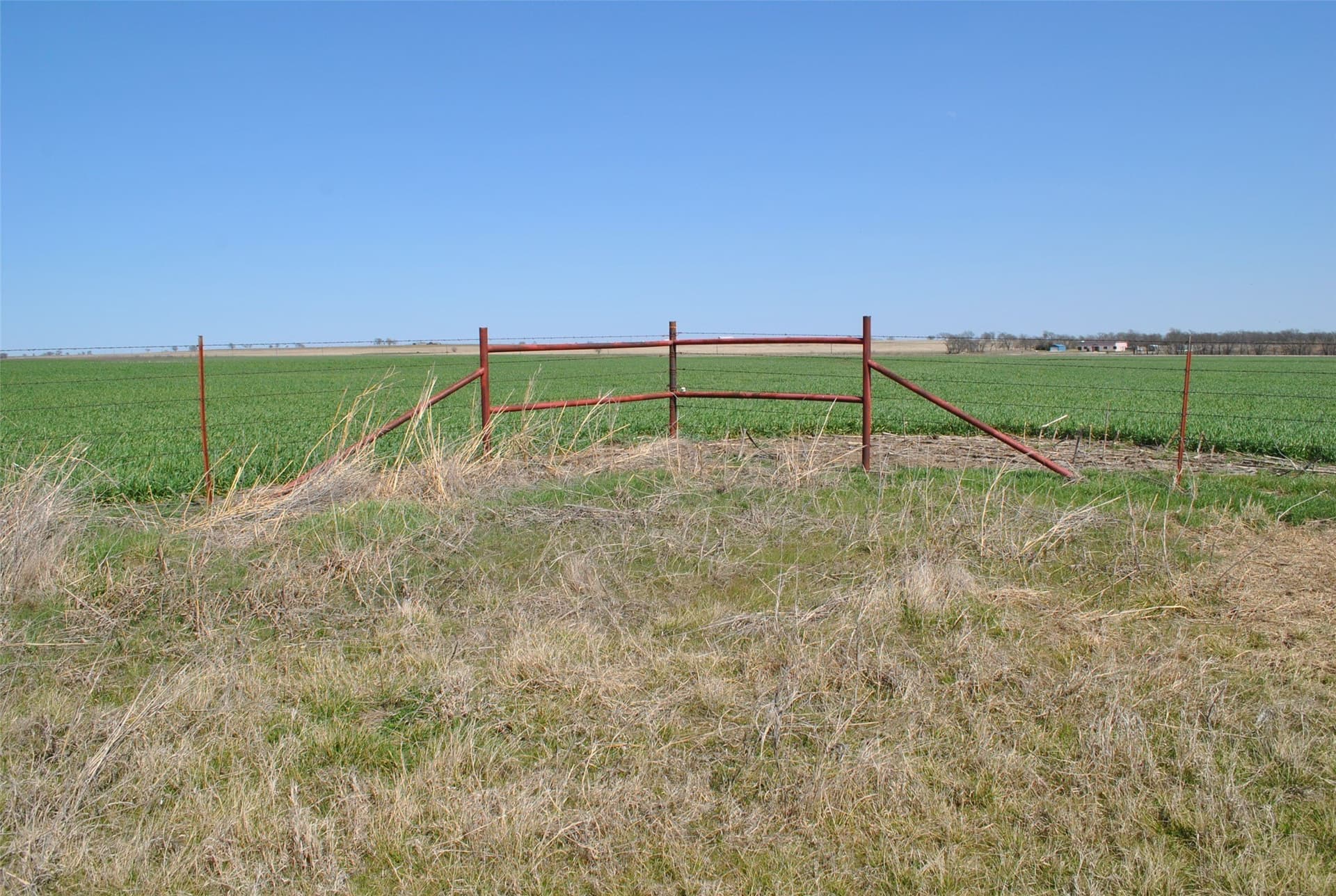 29.29 acres in Cooke County - photo 7
