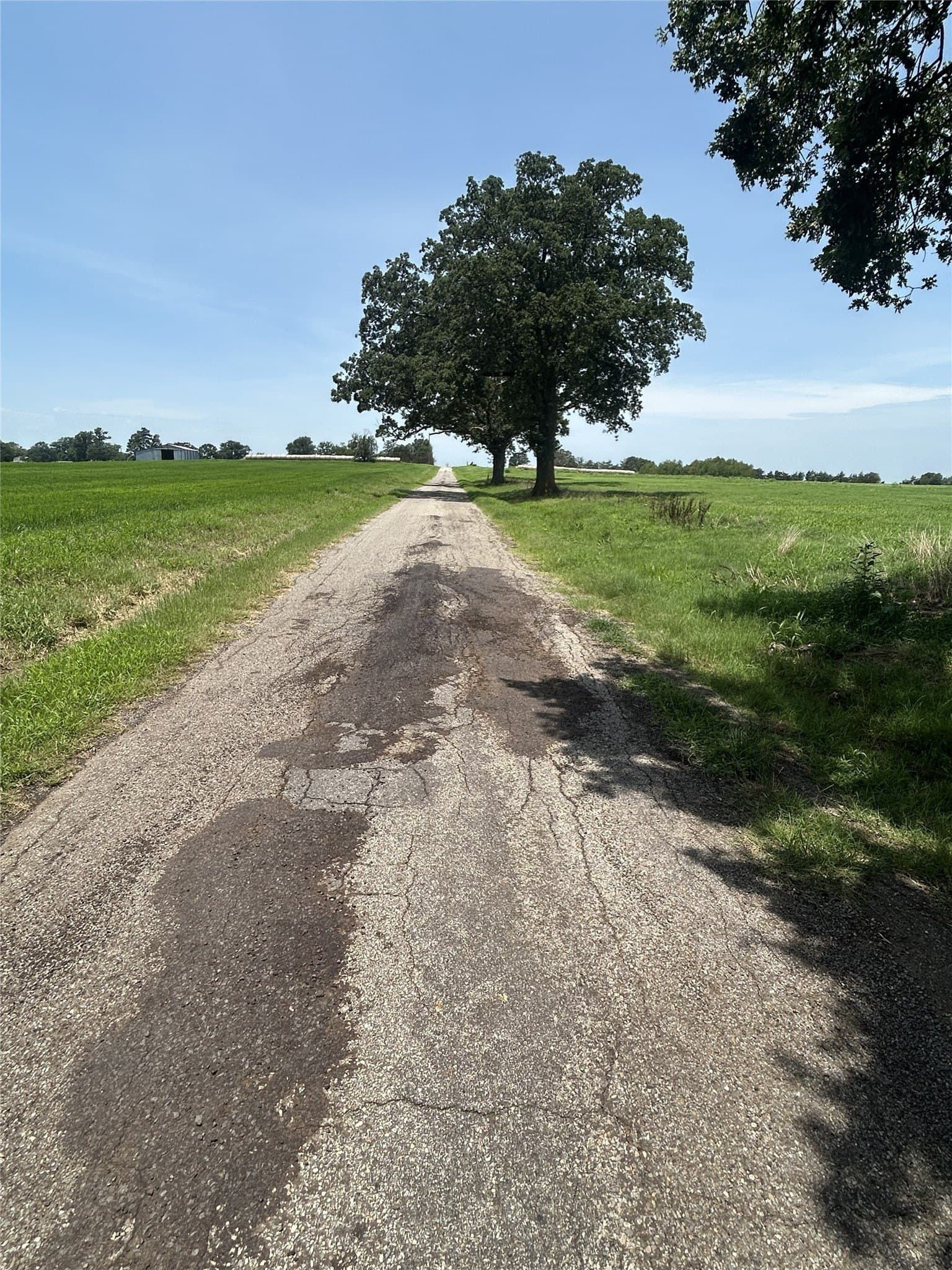 10.2 acres in Hopkins County - photo 3