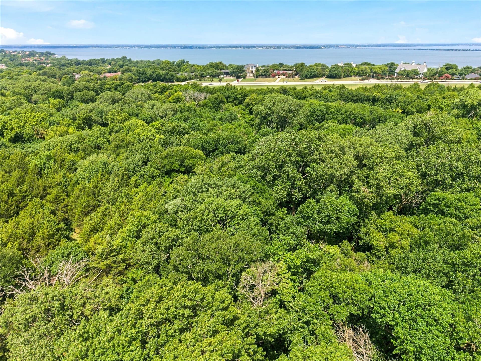7 acres in Rockwall County - photo 8
