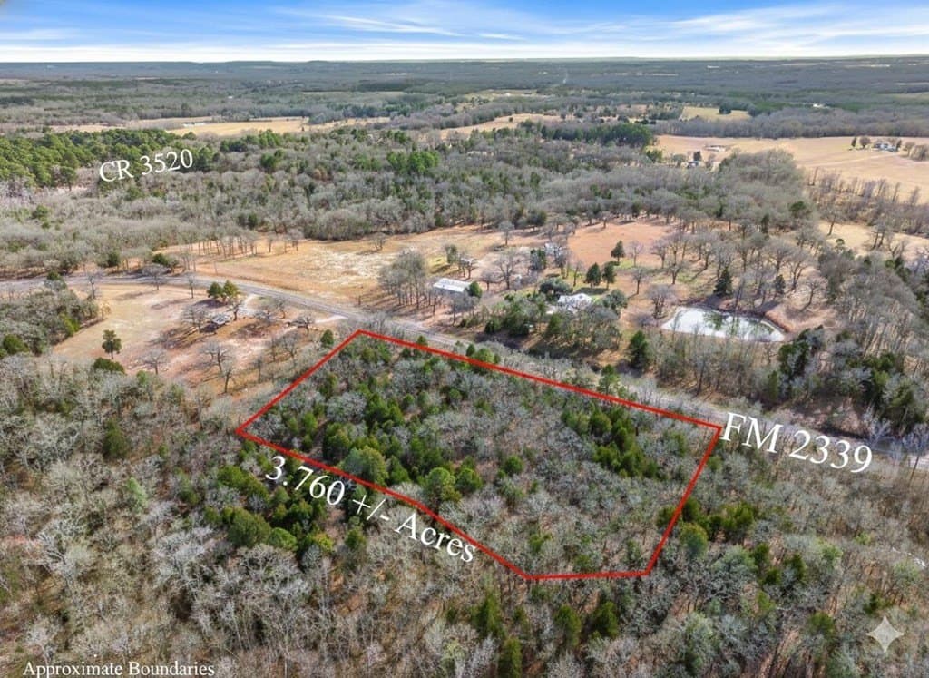 3.76 acres in Van Zandt County gallery image 2