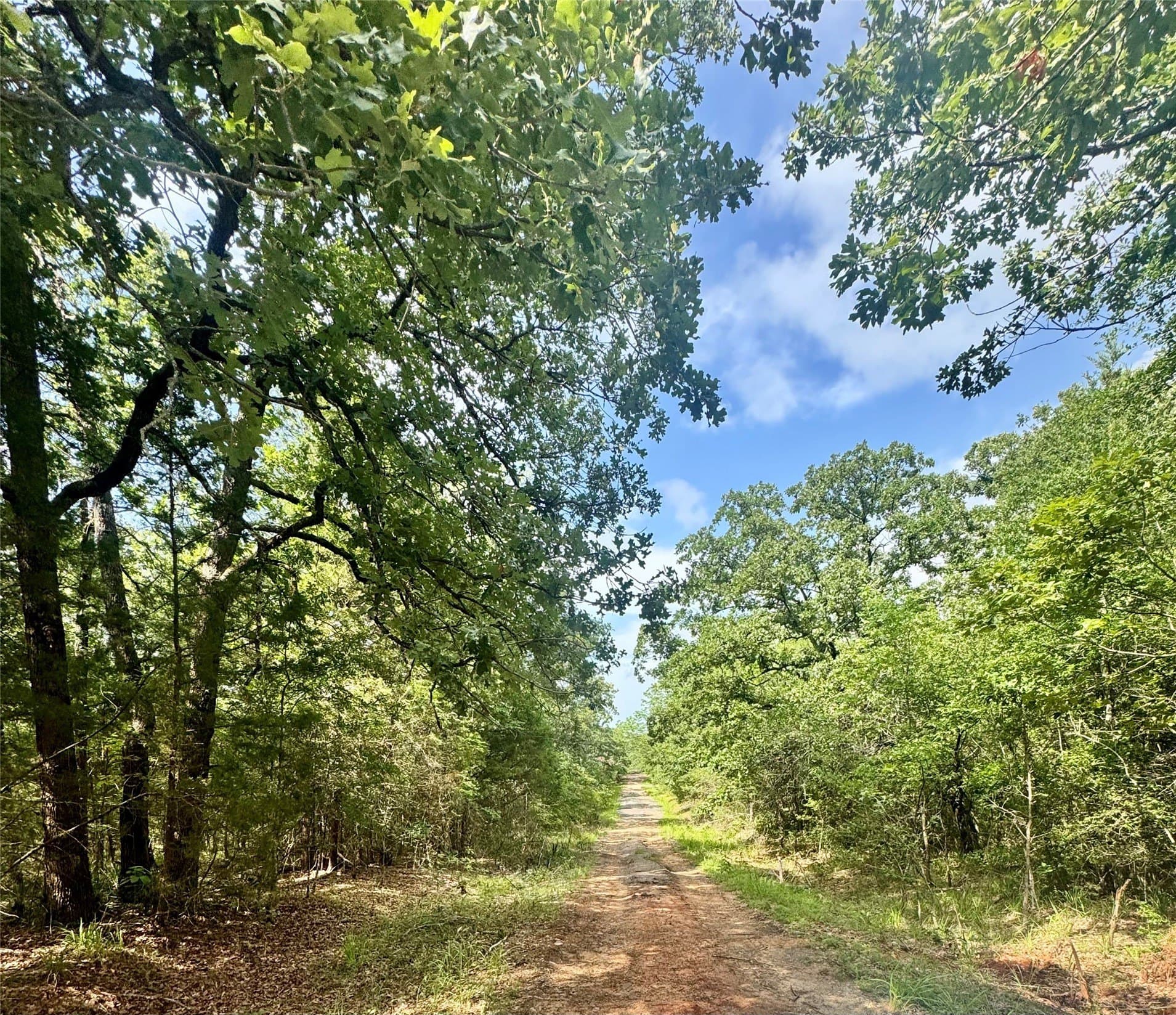 0.06 acres in Henderson County gallery image 2