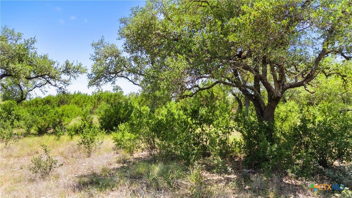 1.9 acres in Comal County gallery image 4