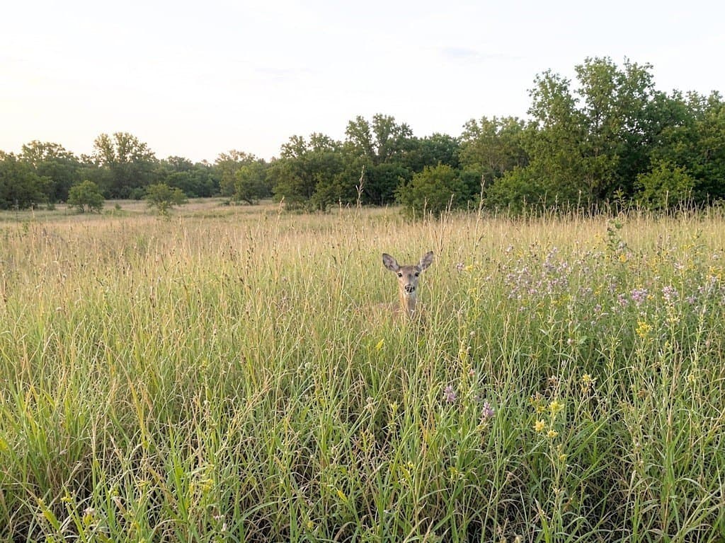 6.07 acres in Fayette County - photo 13