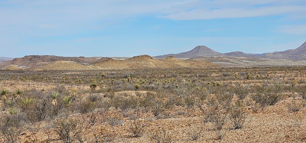 10 acres in Brewster County - photo 5