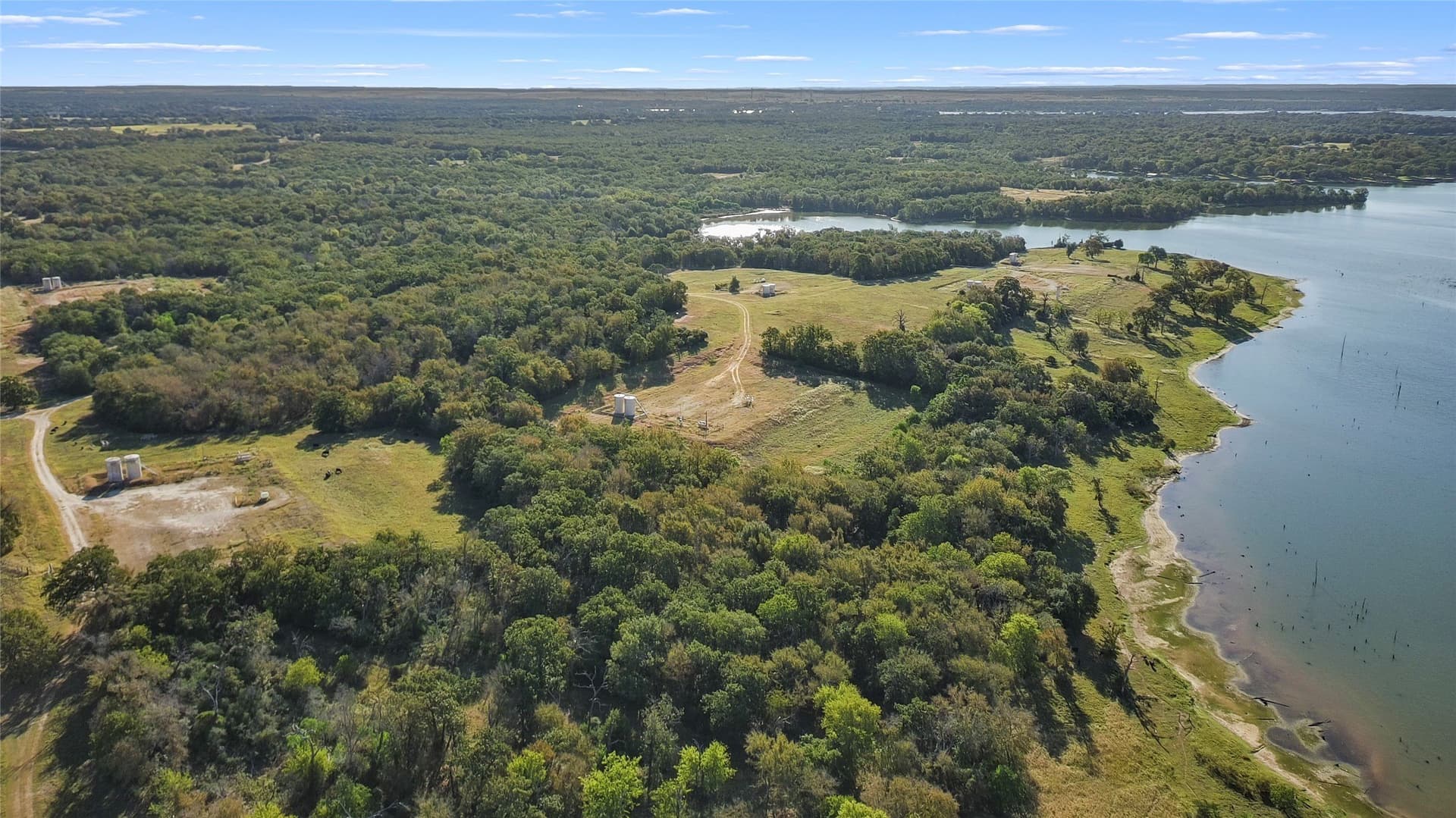 43 acres in Limestone County - photo 14