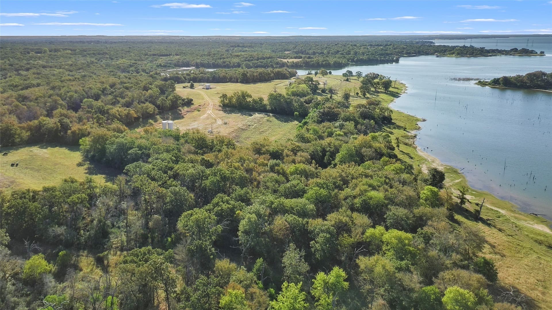 43 acres in Limestone County - photo 15