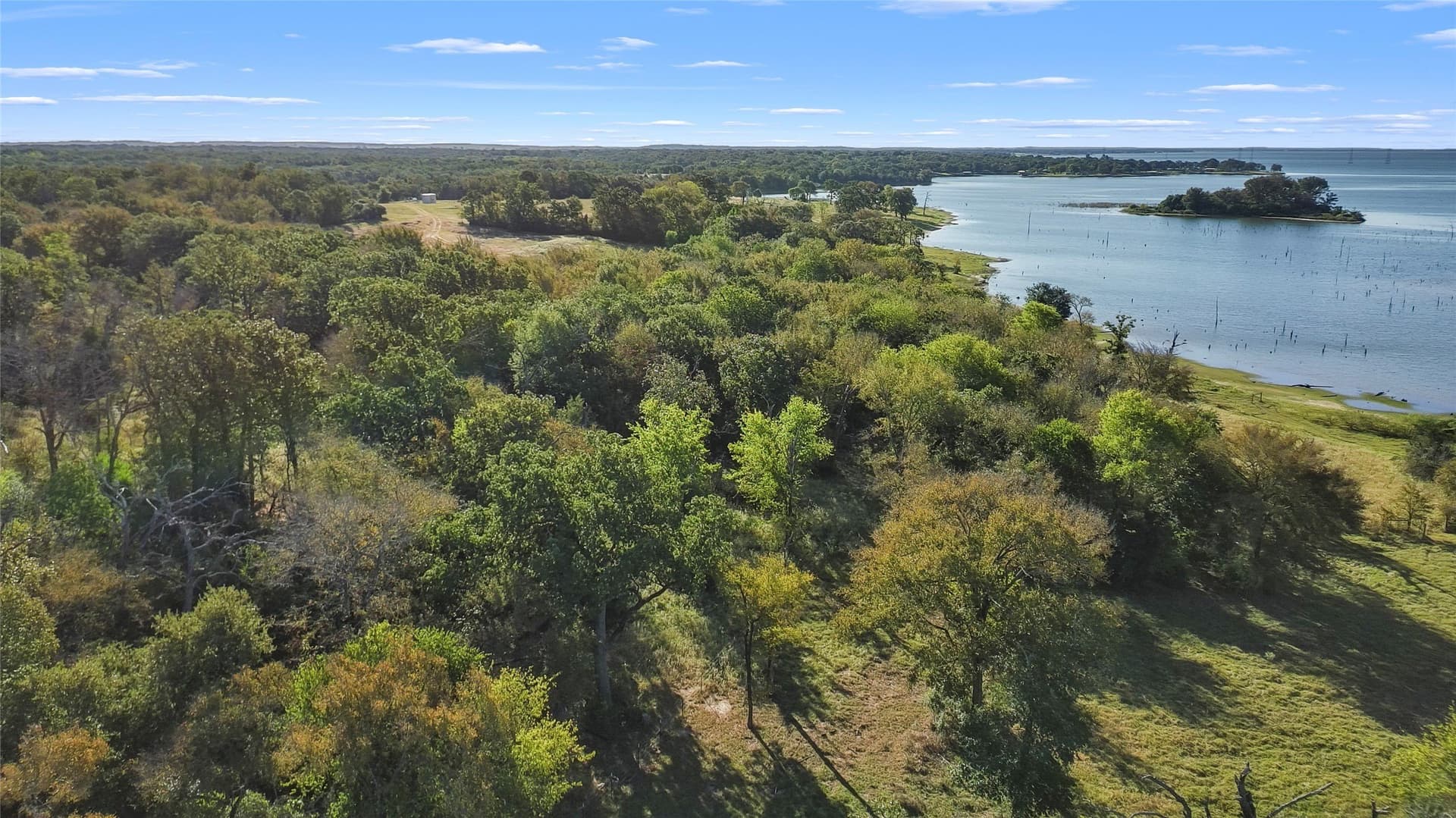43 acres in Limestone County - photo 16