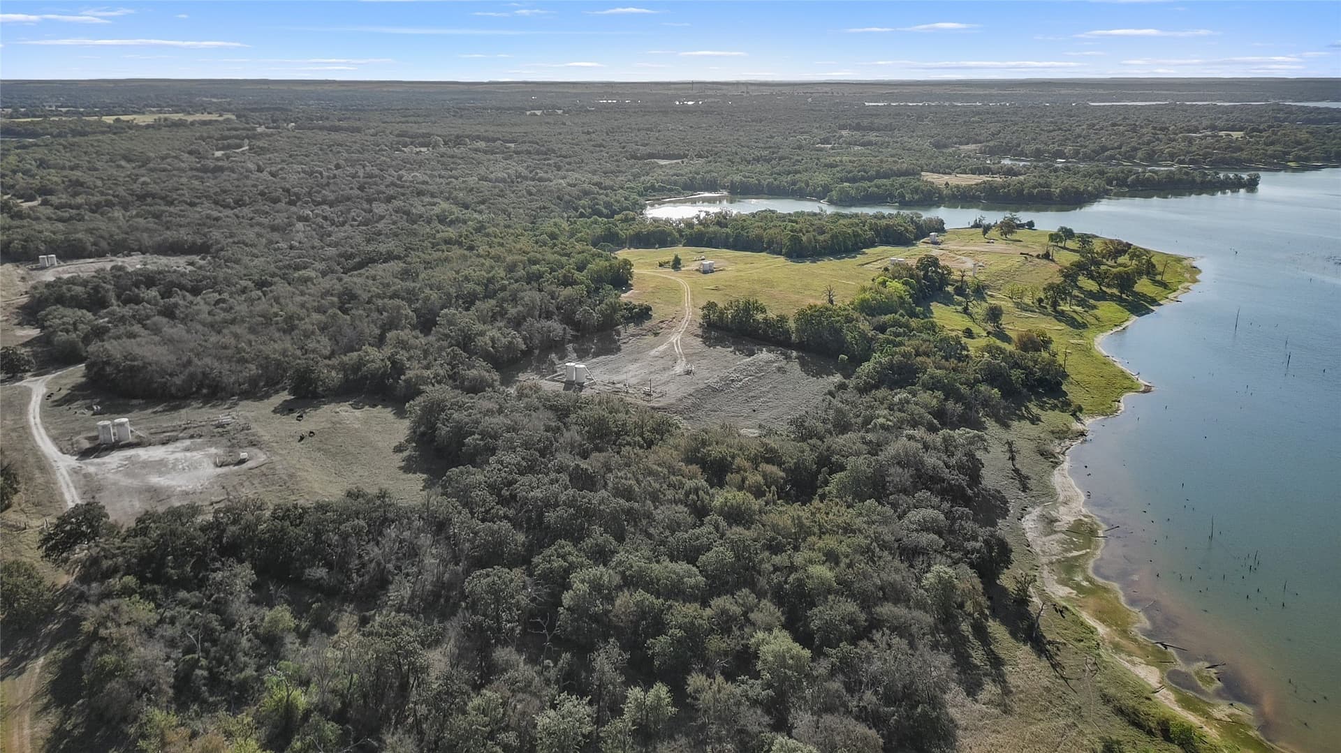 43 acres in Limestone County - photo 7